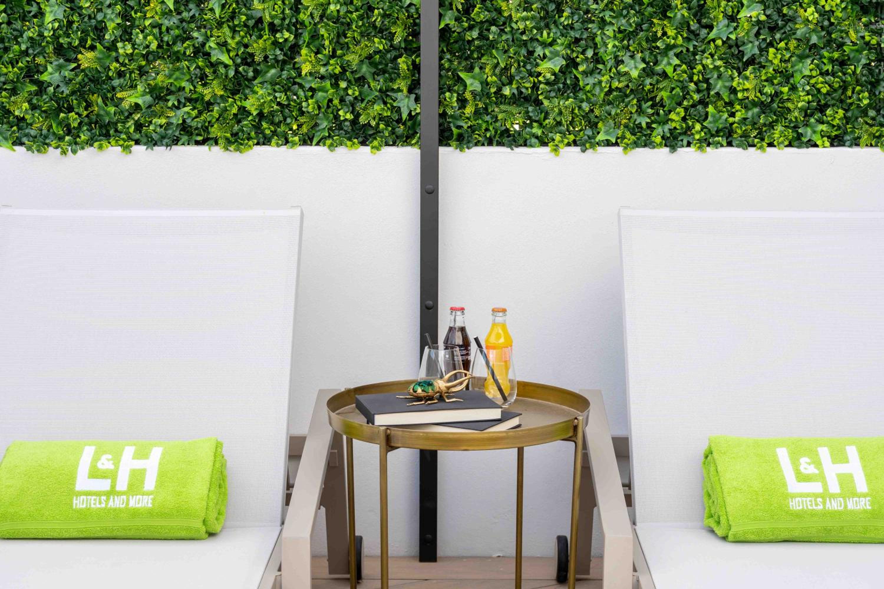 Premium Terrace - Photo 10