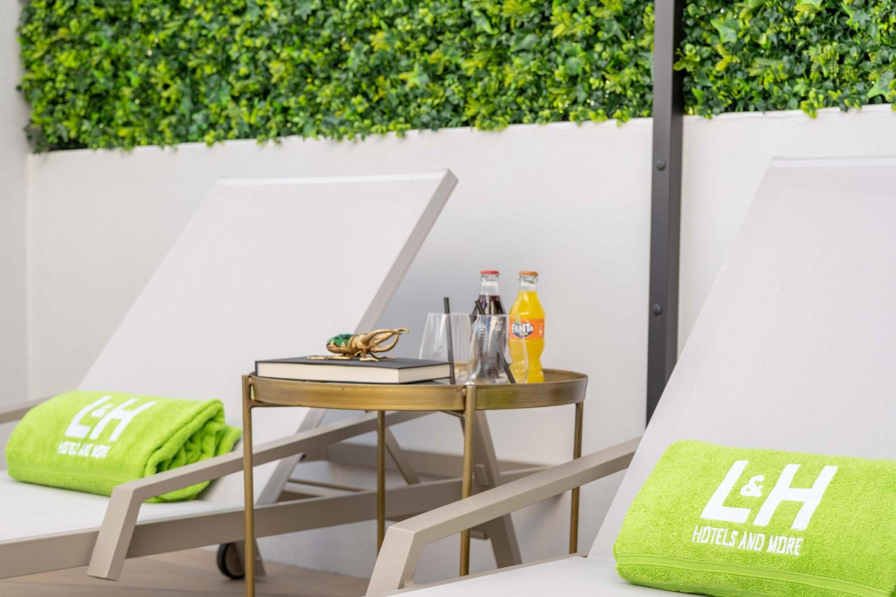 Premium Terrace - Photo 9