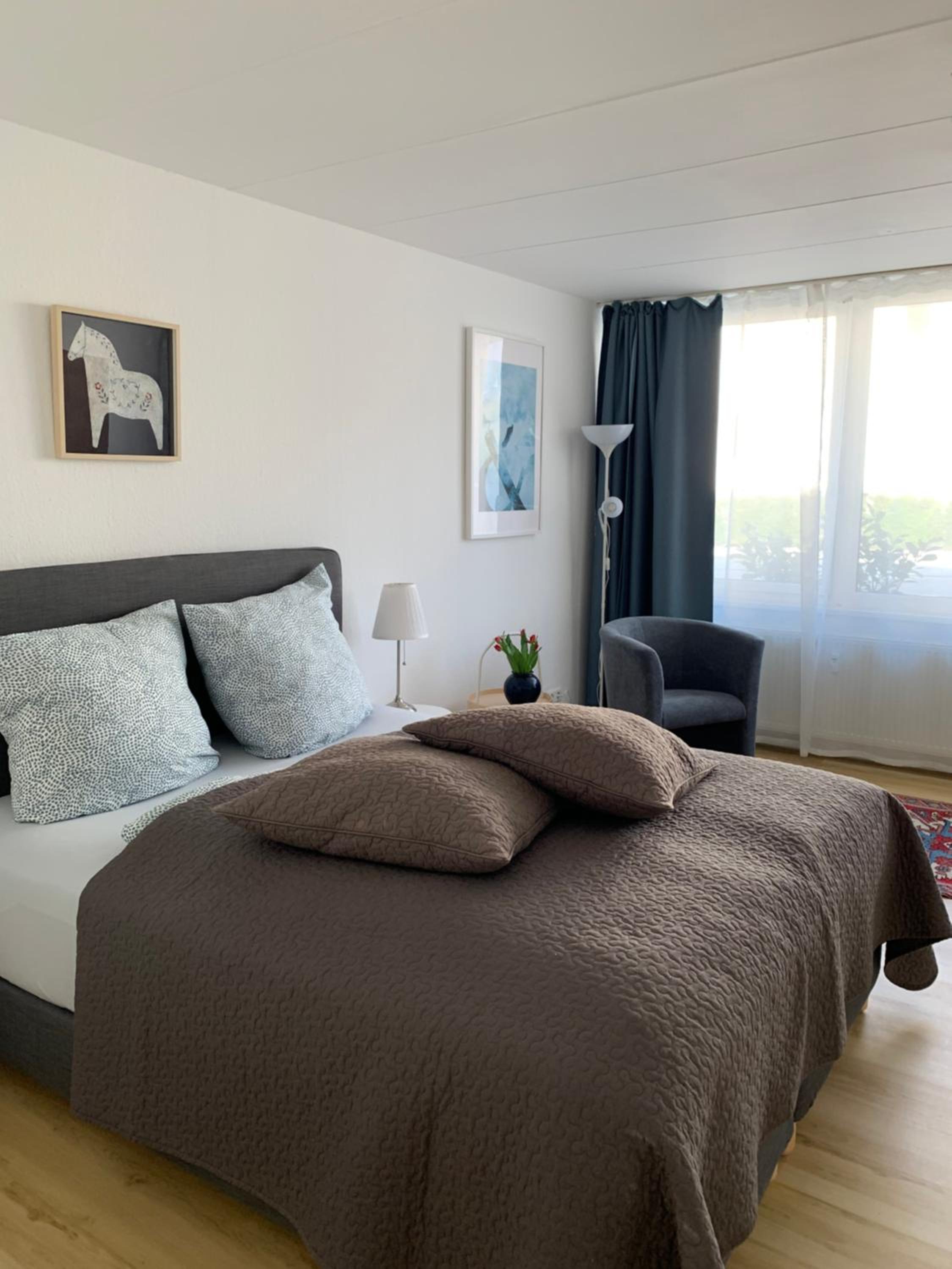 Studio with Sofa Bed