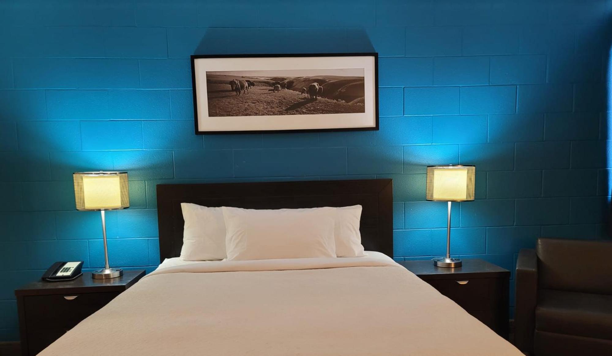 Standard Queen Room - Pet Friendly - Photo 3