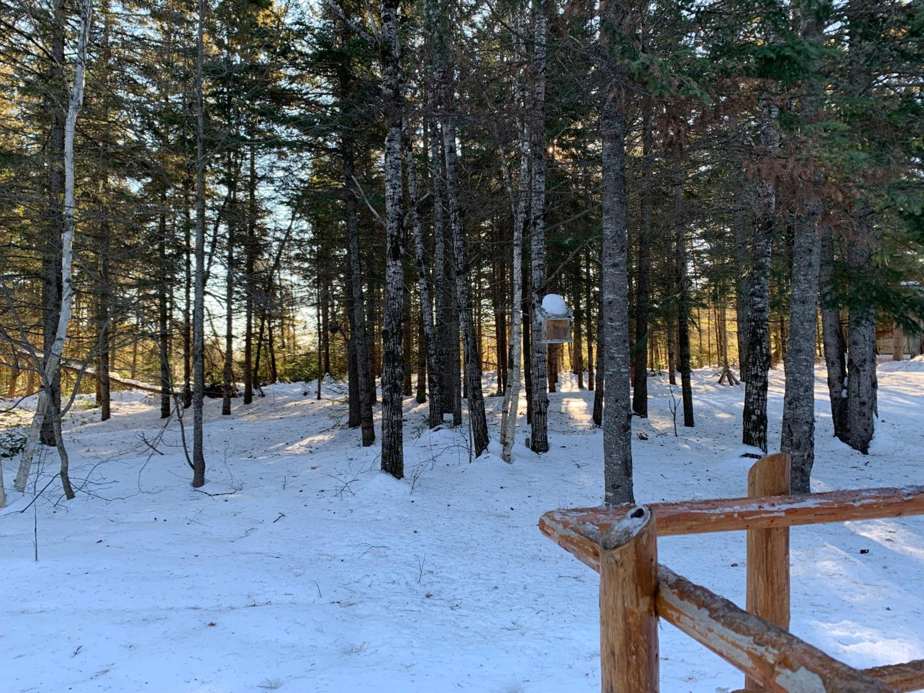 Chalet photo 2