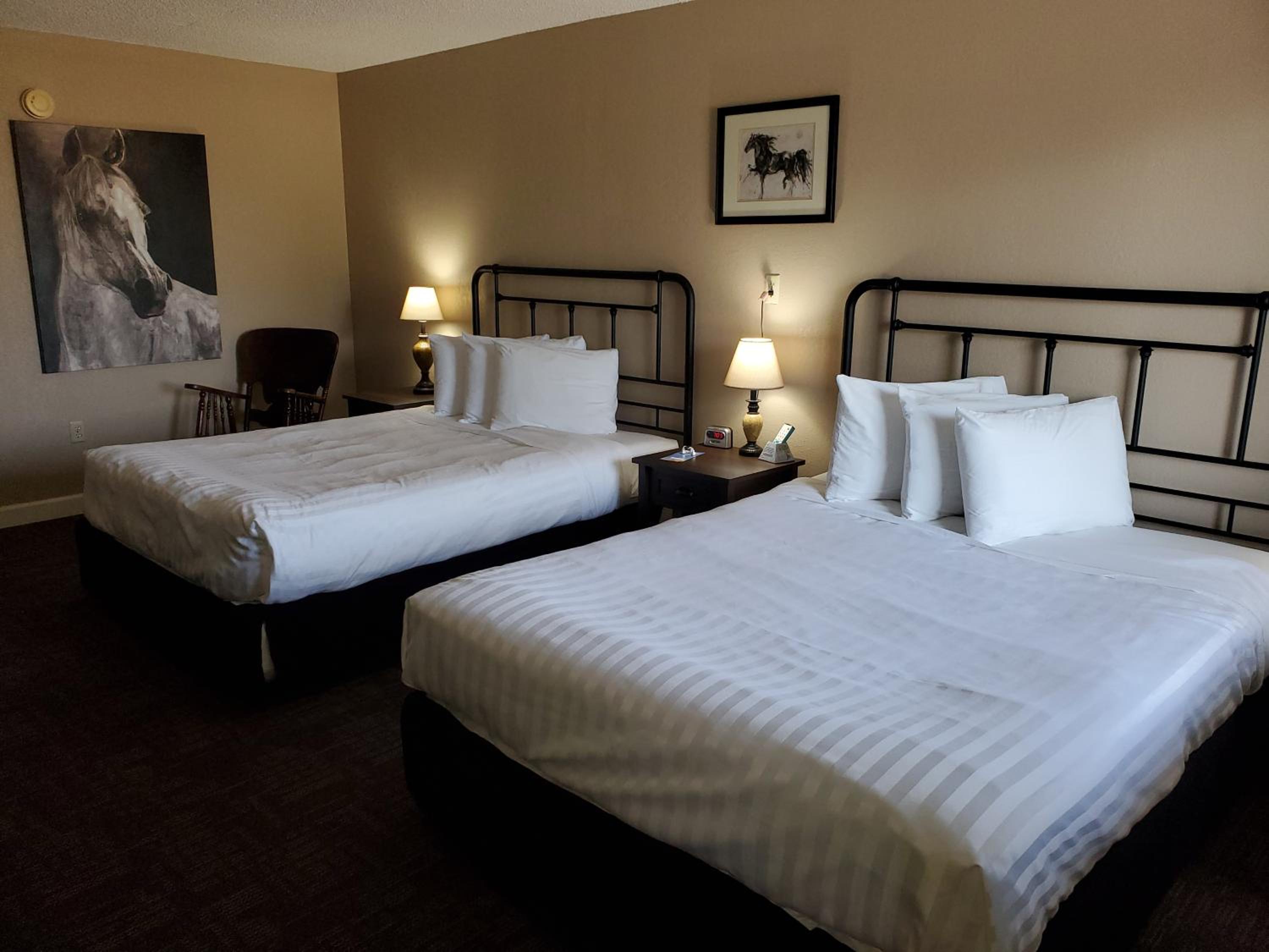Deluxe Double Room photo 1