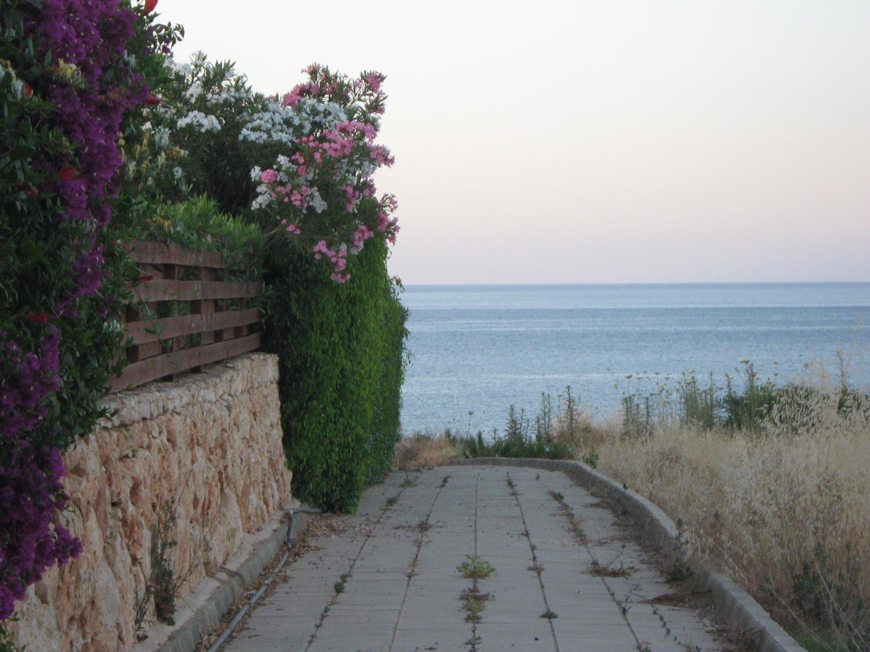 Three-Bedroom Villa with Private Pool photo 2