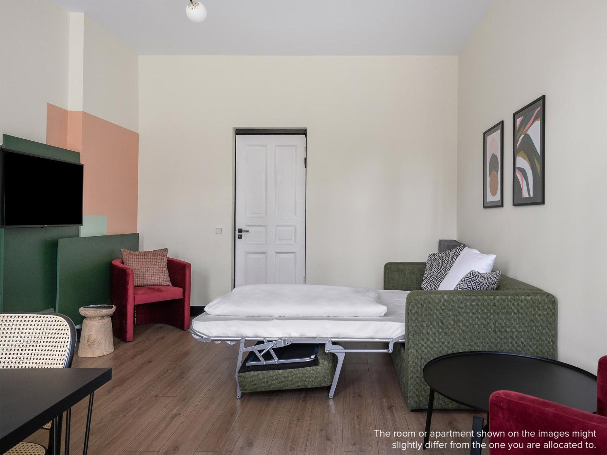 Large 1 Bedroom Apartment with Sofa Bed photo 2