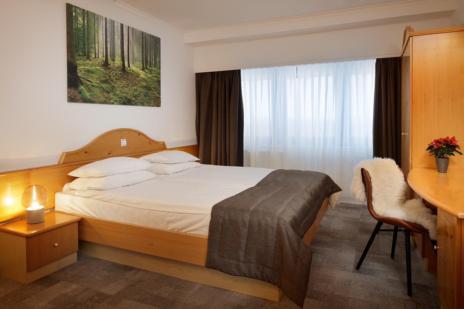 Special Offer - Double Room with Ski Pass photo 1