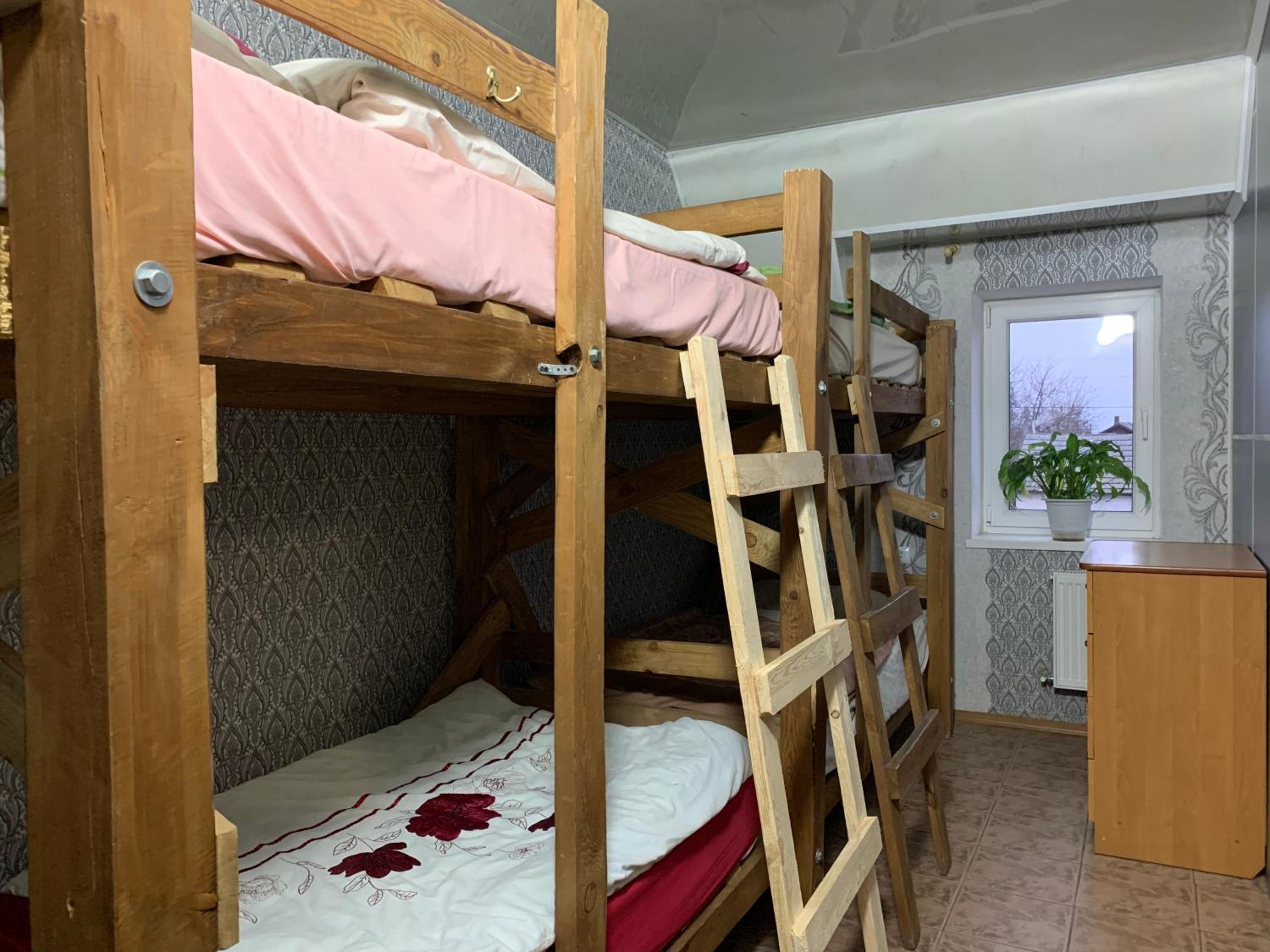 Bunk Bed in Mixed Dormitory Room photo 1