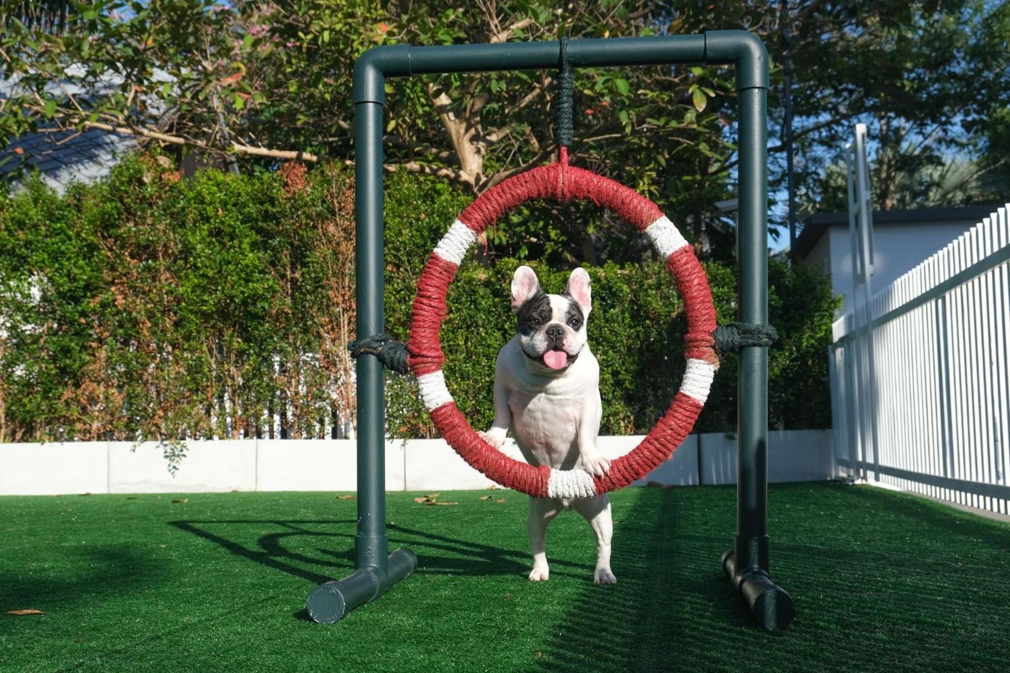 Villa - Pet Friendly thumbnail 5