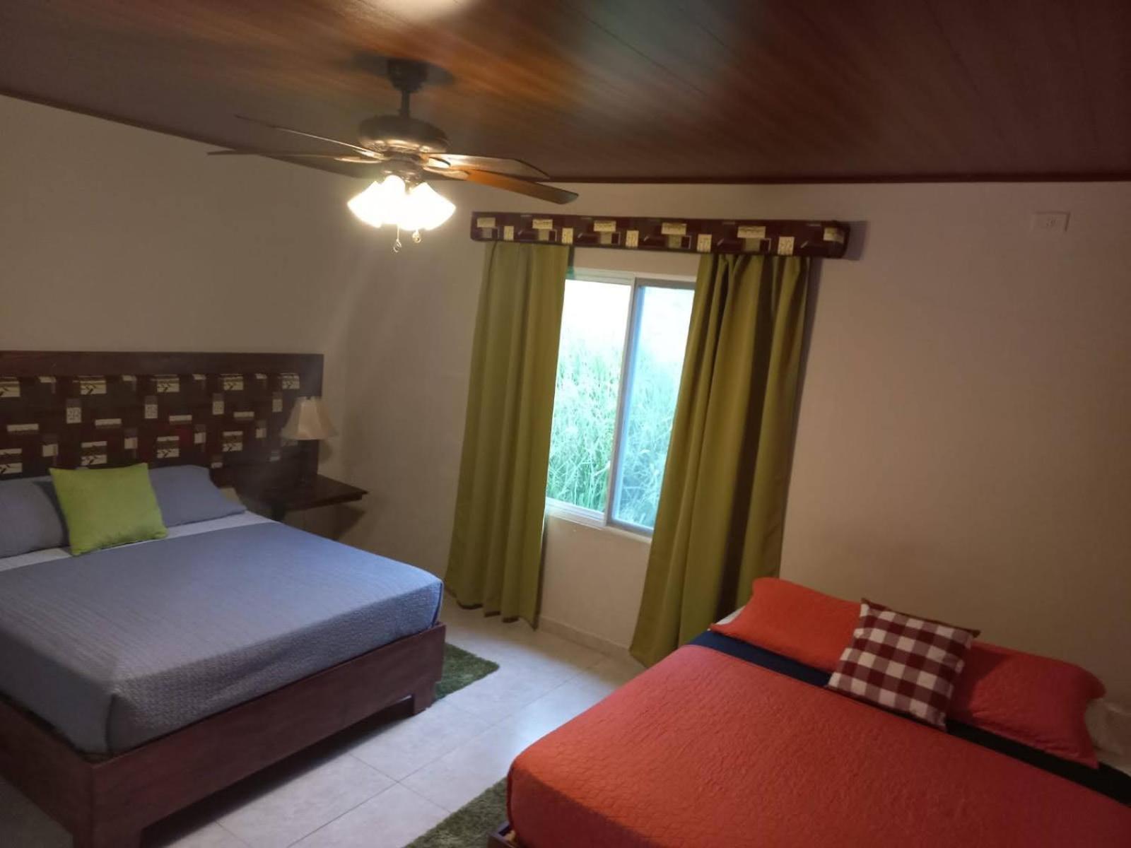 Comfort Triple Room photo 1