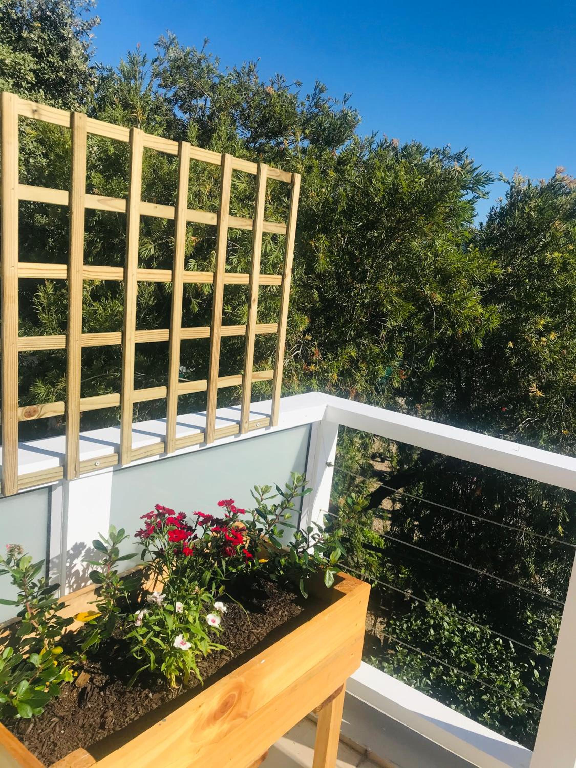 Apartment with Garden View - Photo 5