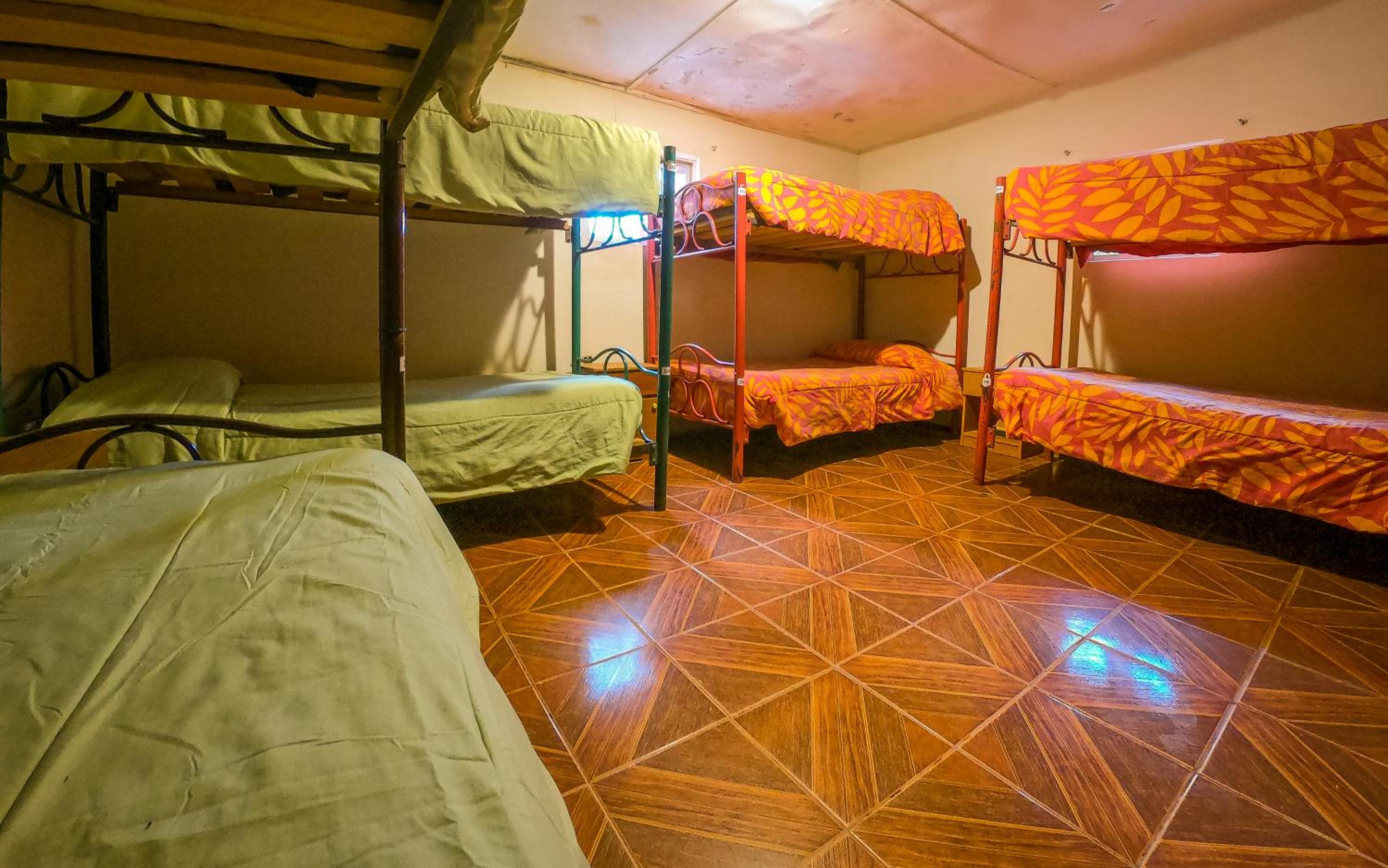 Bed in 8-Bed Mixed Dormitory Room photo 1