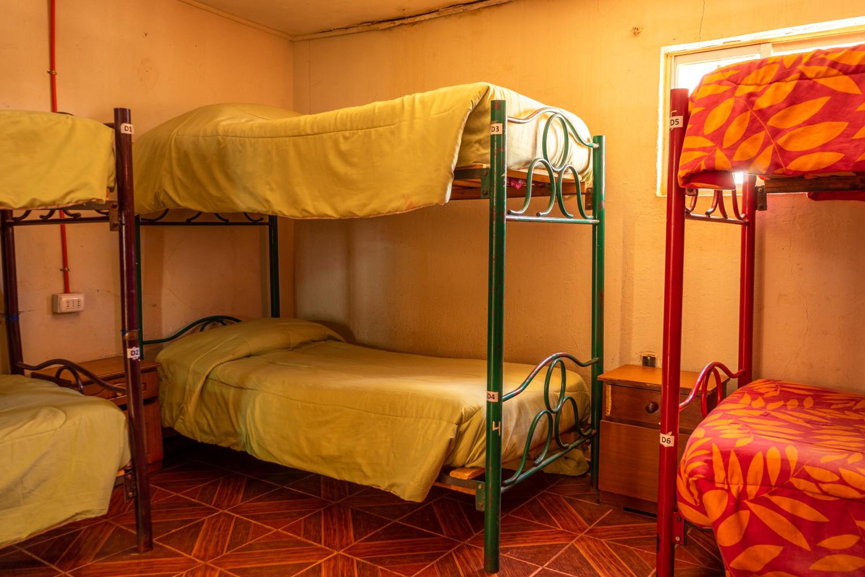 Bed in 8-Bed Mixed Dormitory Room photo 3