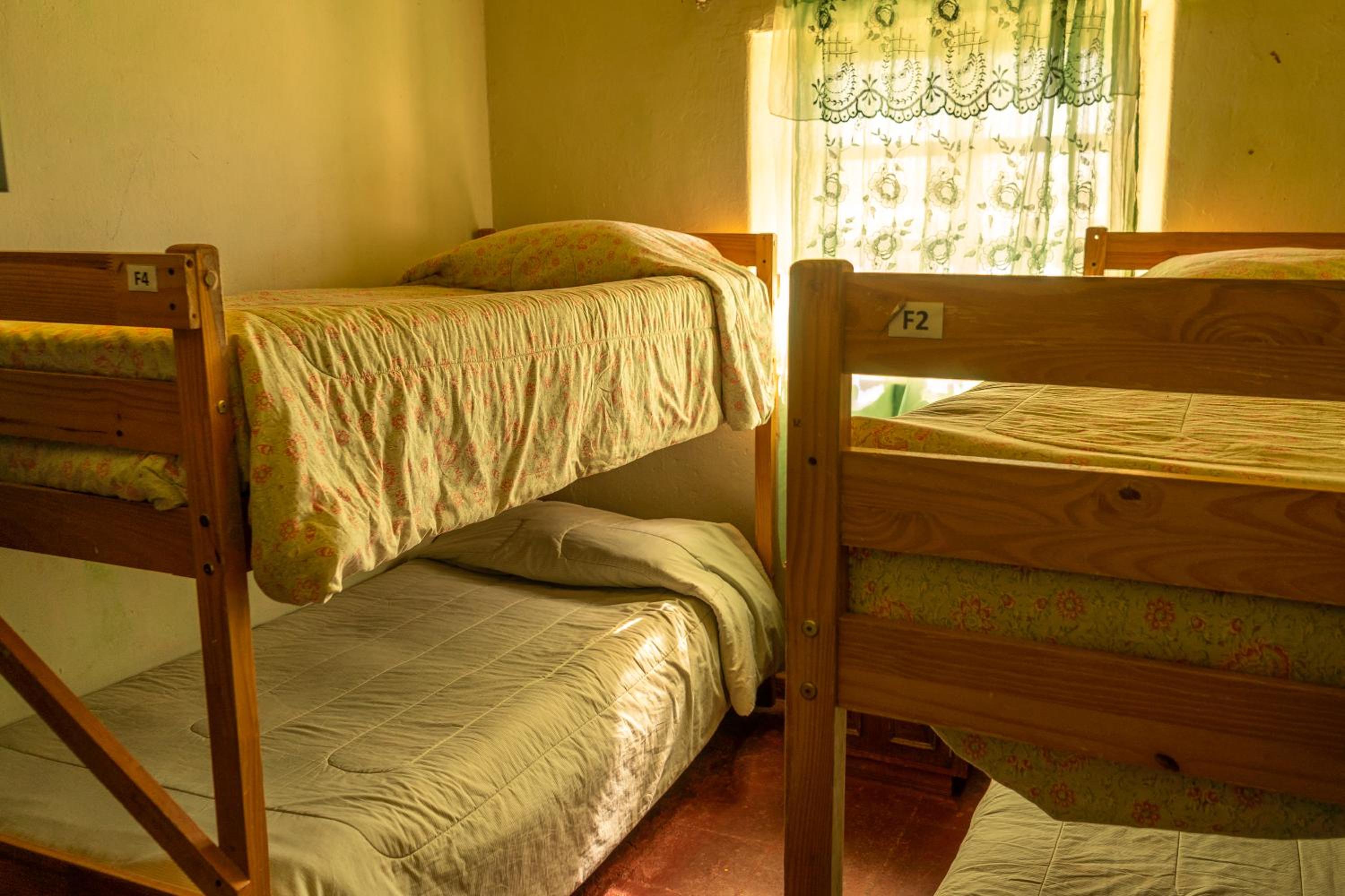 Single Bed in Dormitory Room photo 3