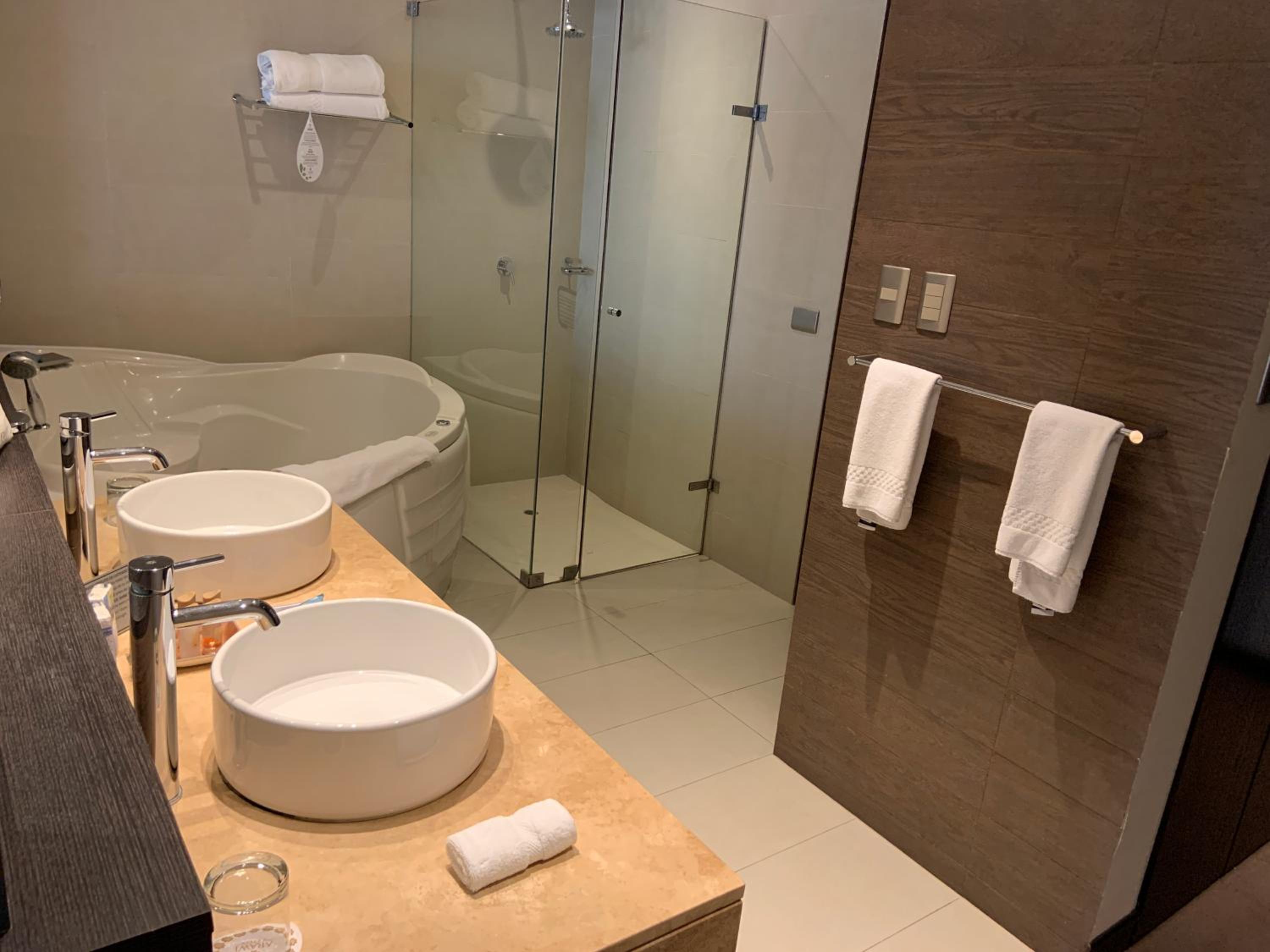 Premium Suite photo 2