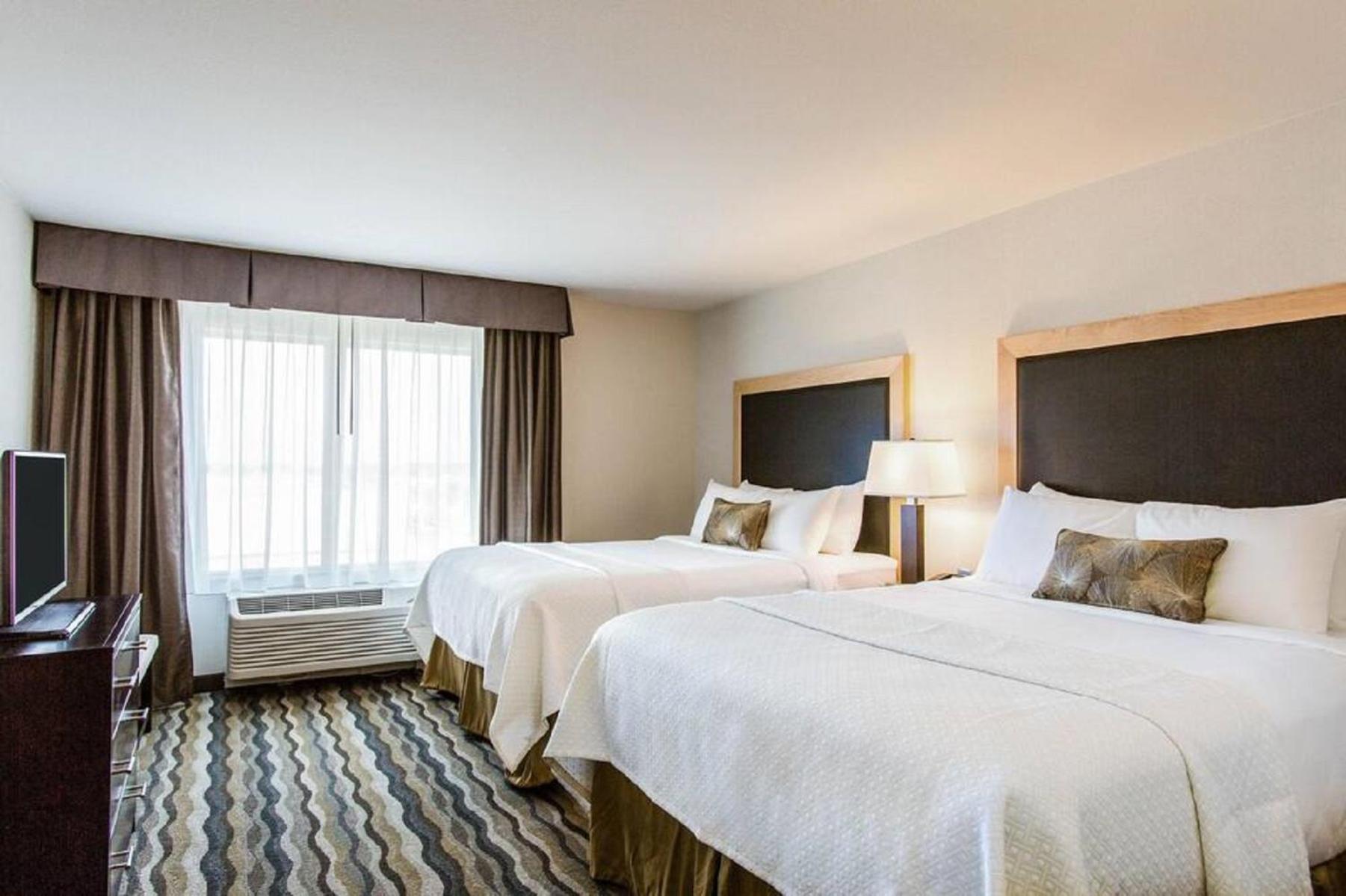 2 Queen Beds, Mobility/Hearing Accessible Suite, Roll-In Shower, Non-Smoking photo 1