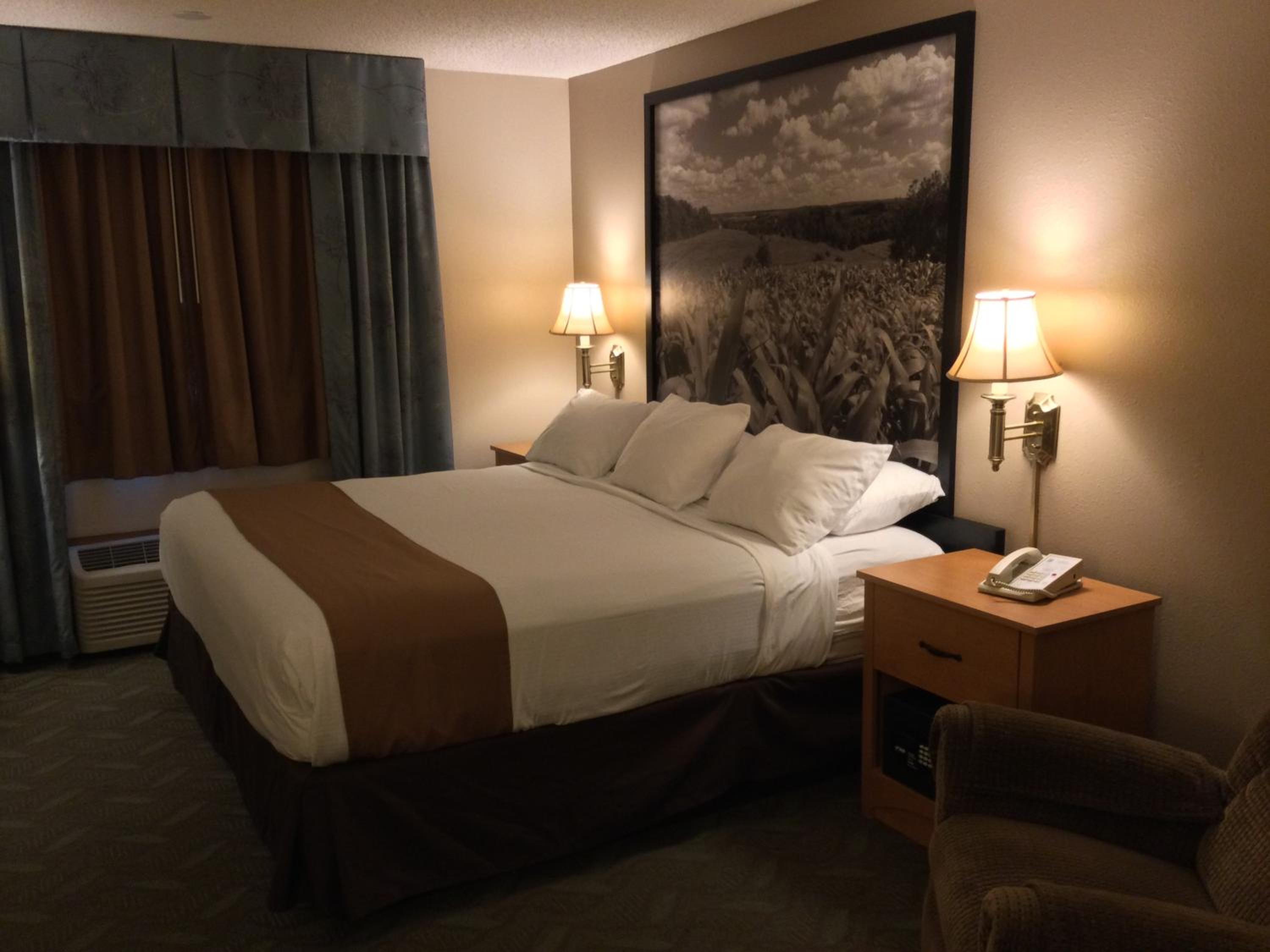 Deluxe King Suite - Non-Smoking photo 2