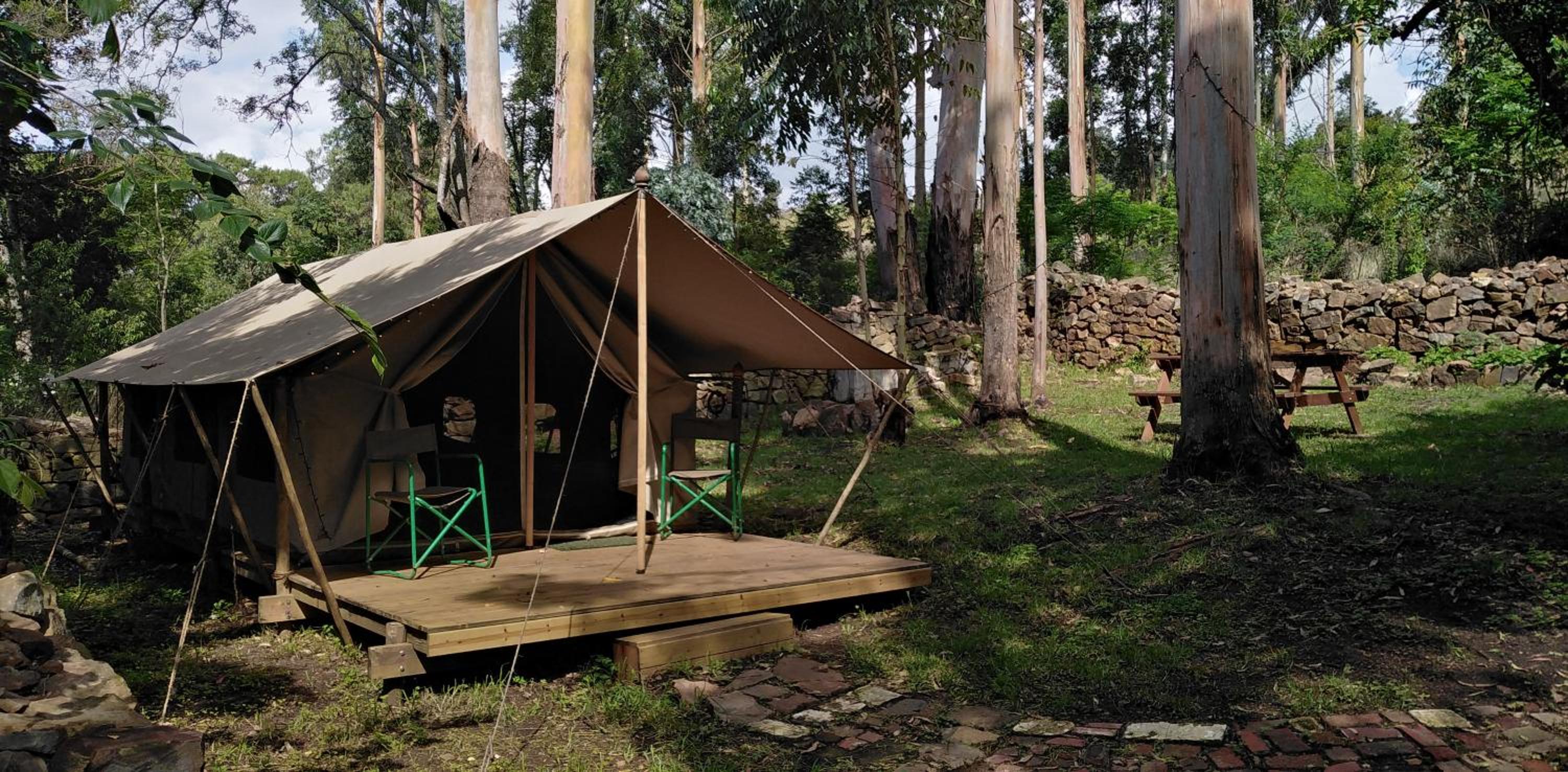 Tent - Photo 4