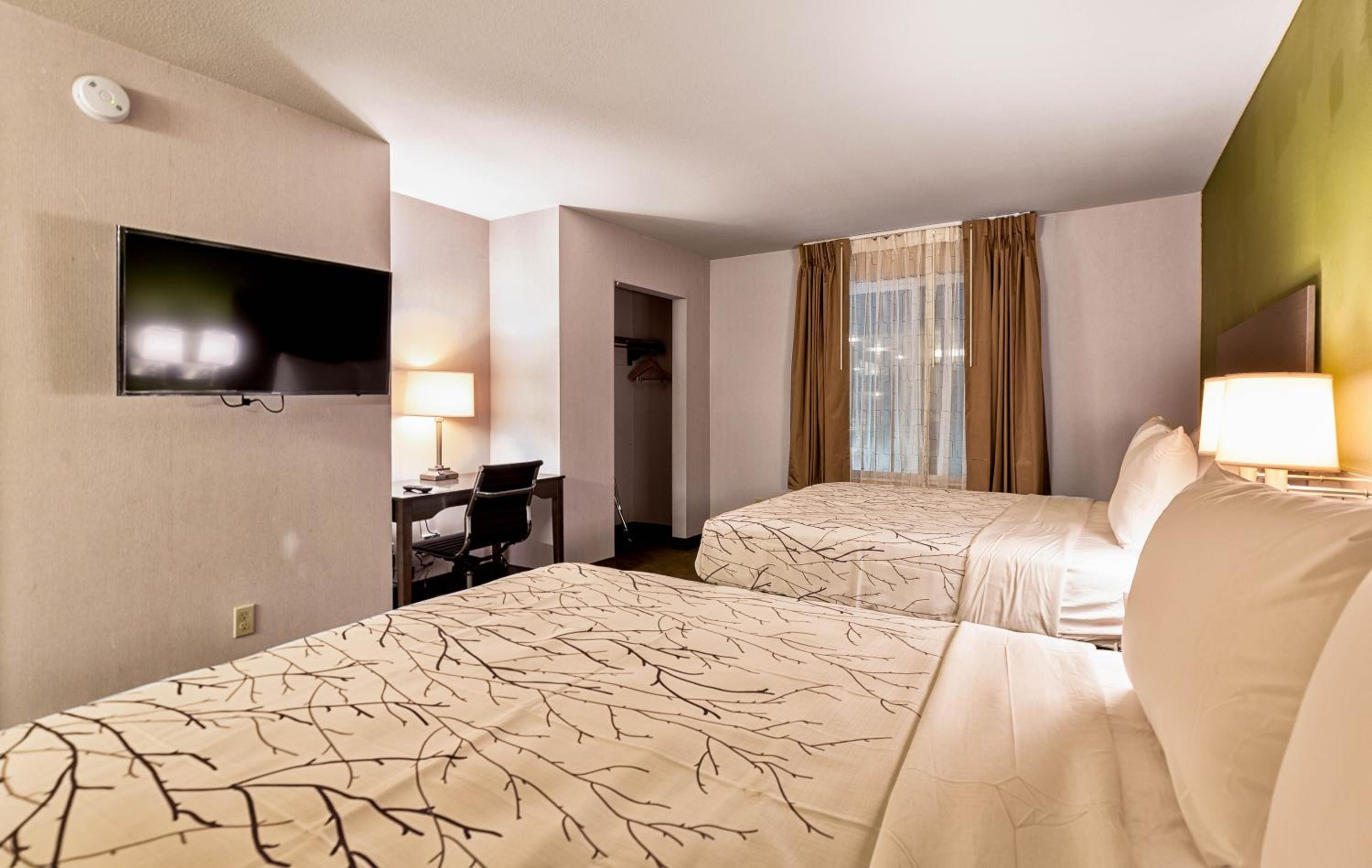 Queen Suite with Two Queen Beds - Photo 9