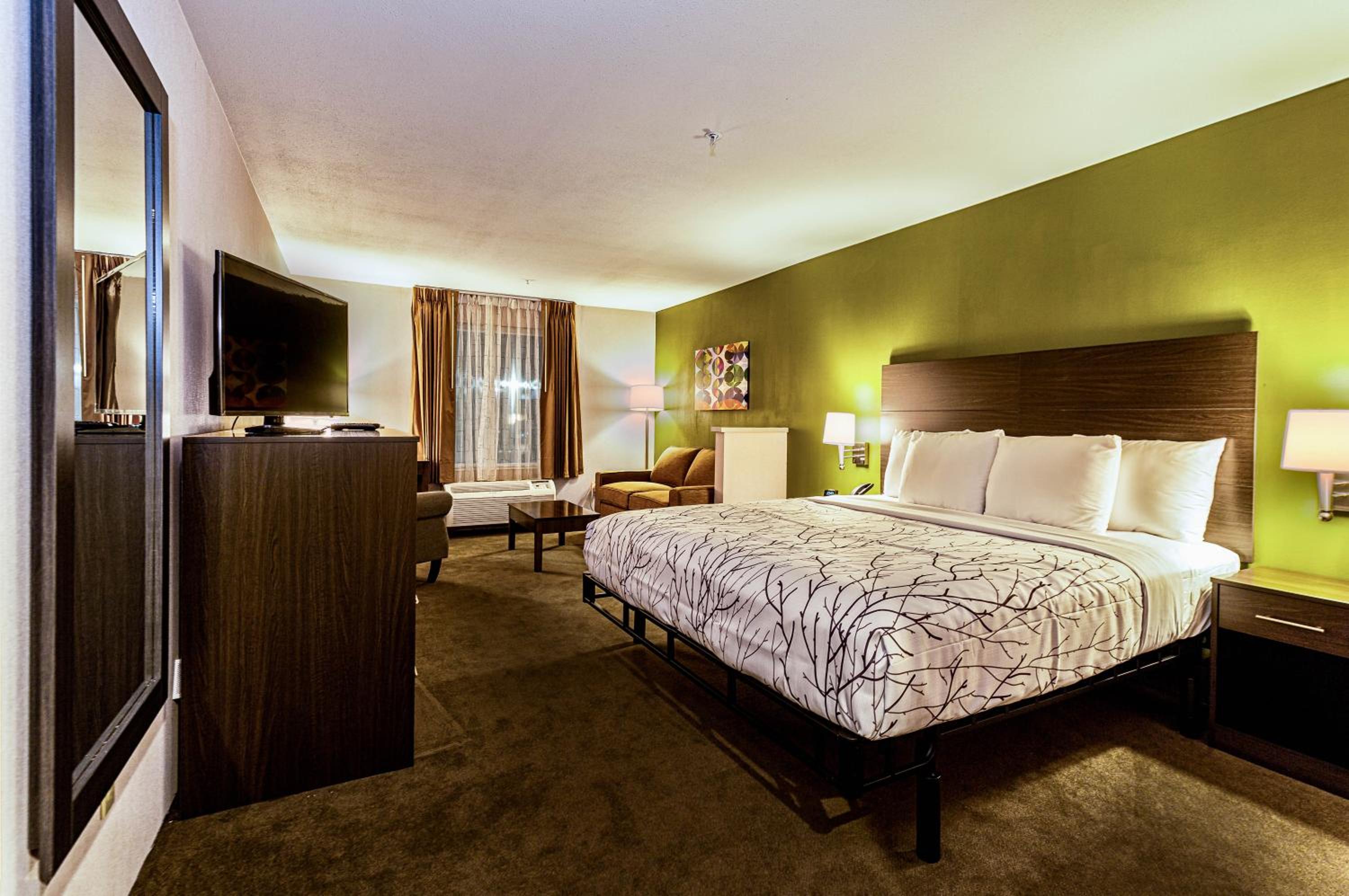 Large King Room - Photo 2