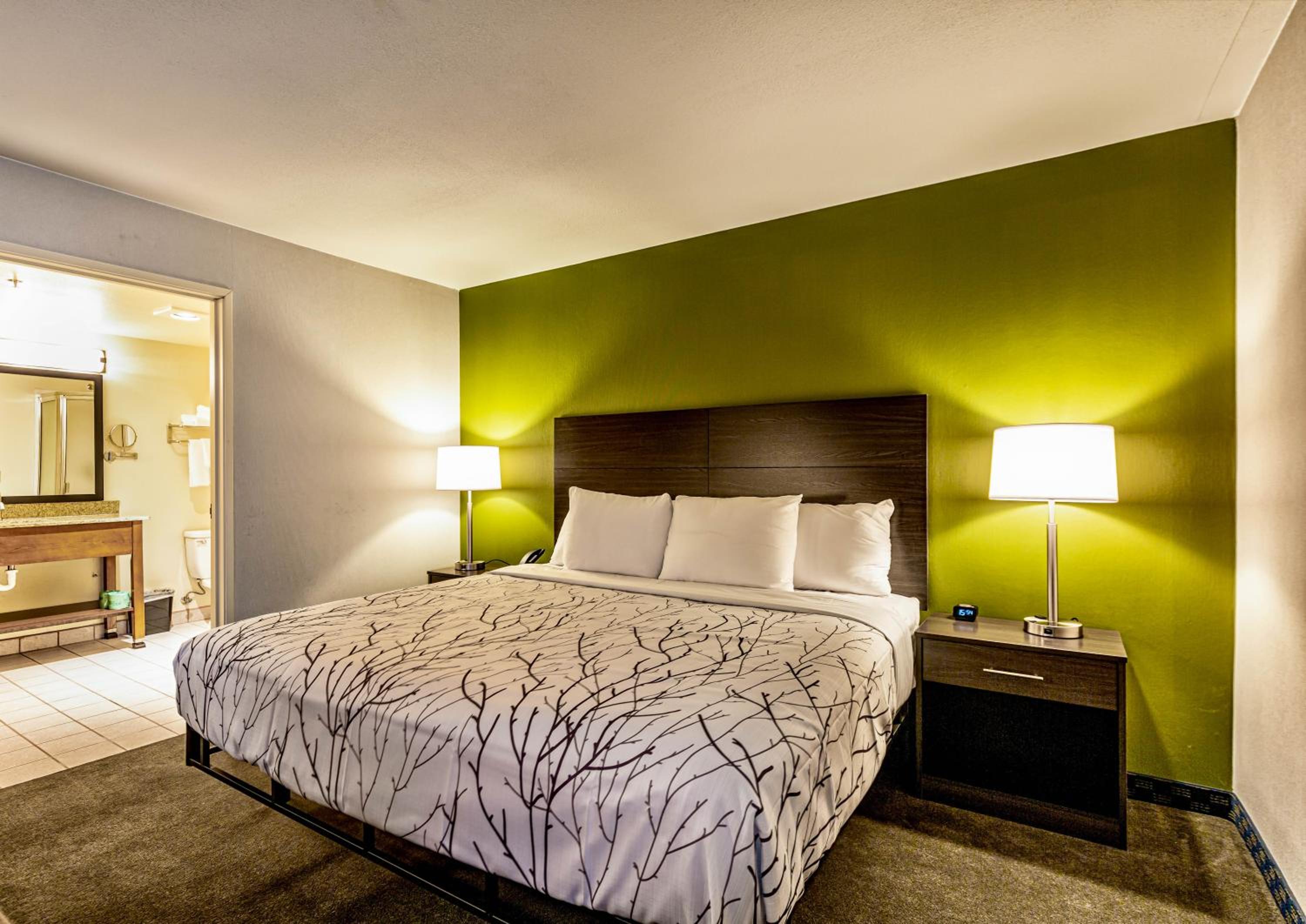 King Suite with Sofa Bed - Photo 8