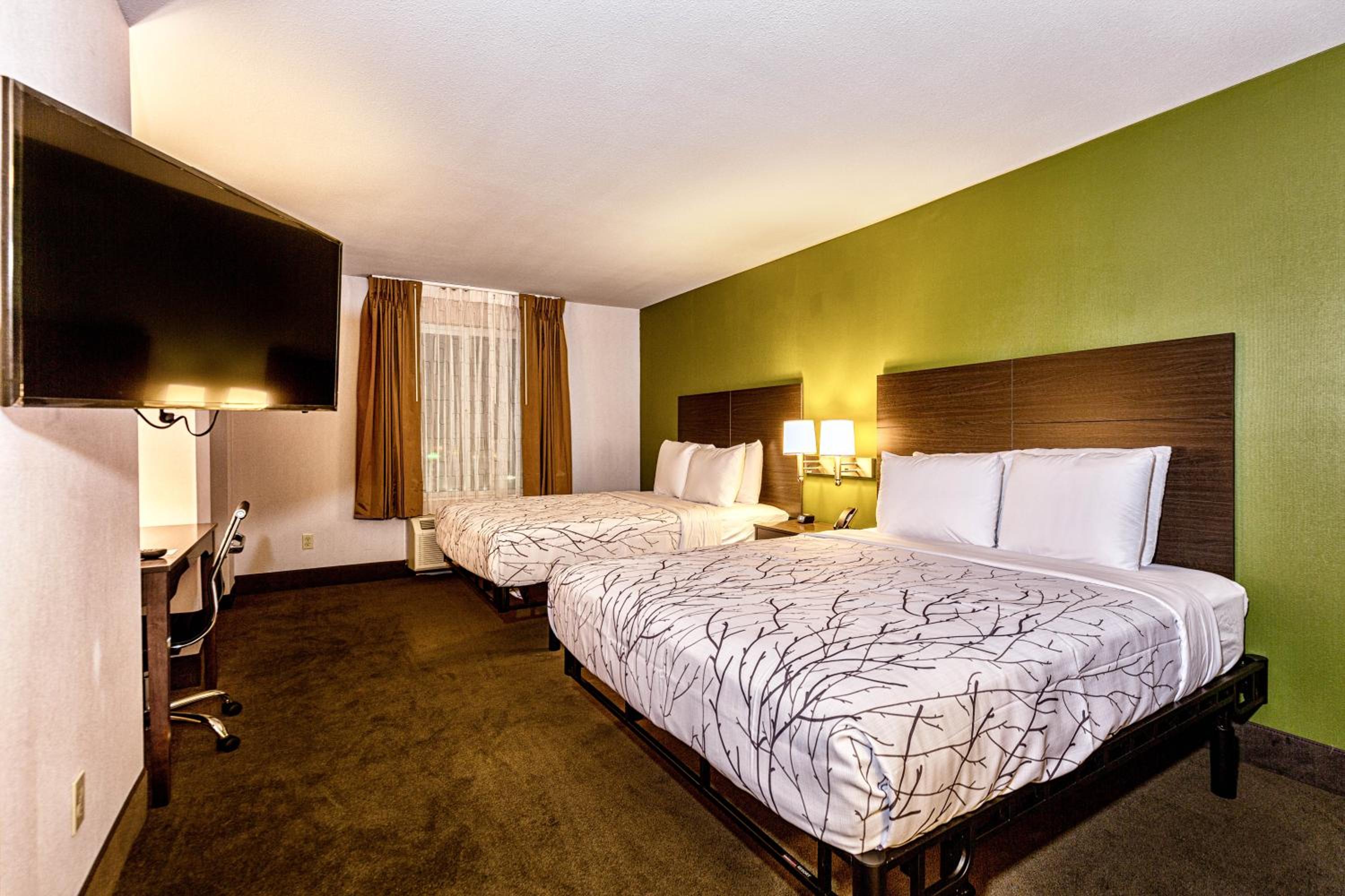 Queen Suite with Two Queen Beds - Photo 8