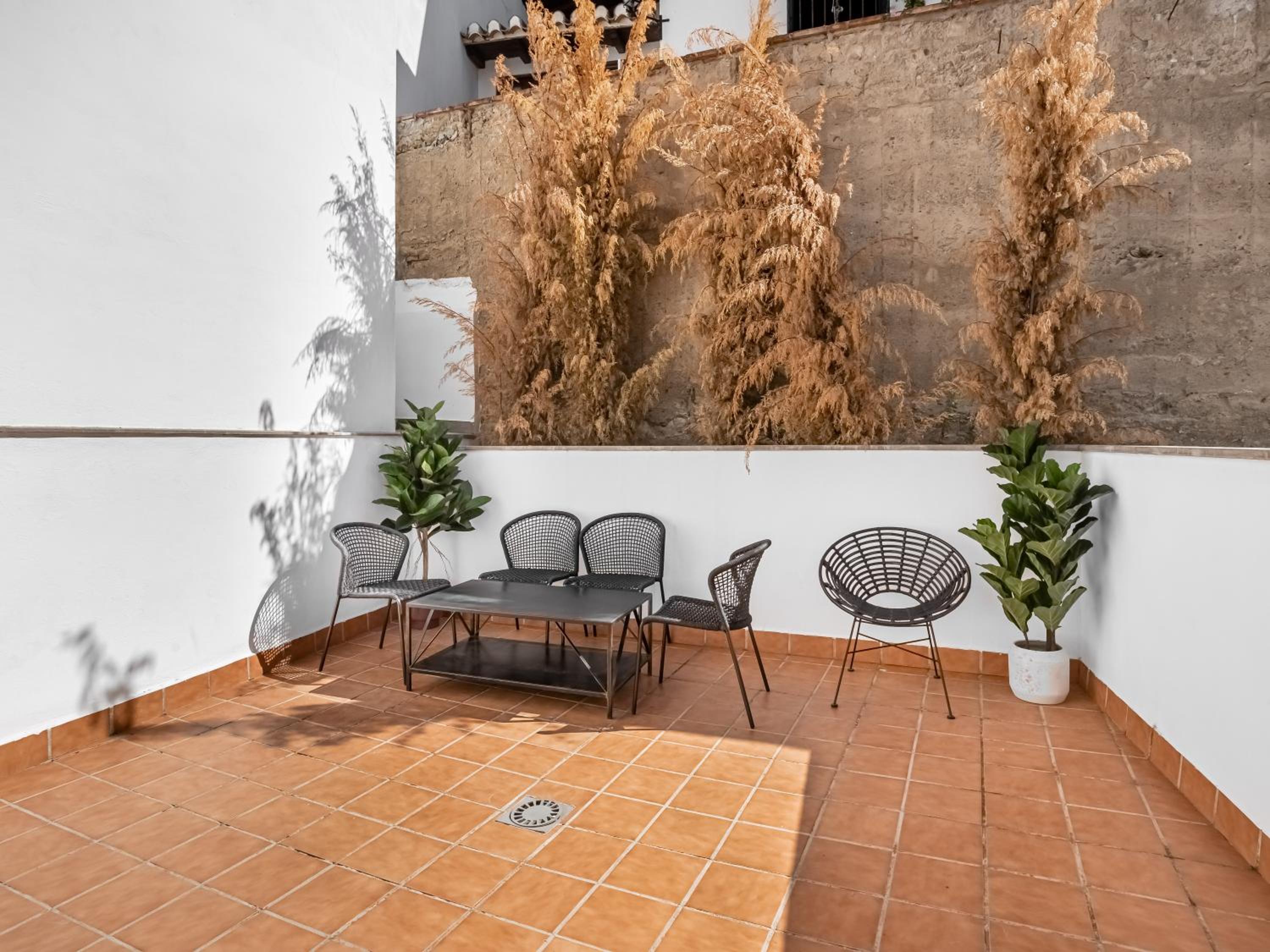 Studio with Terrace photo 3