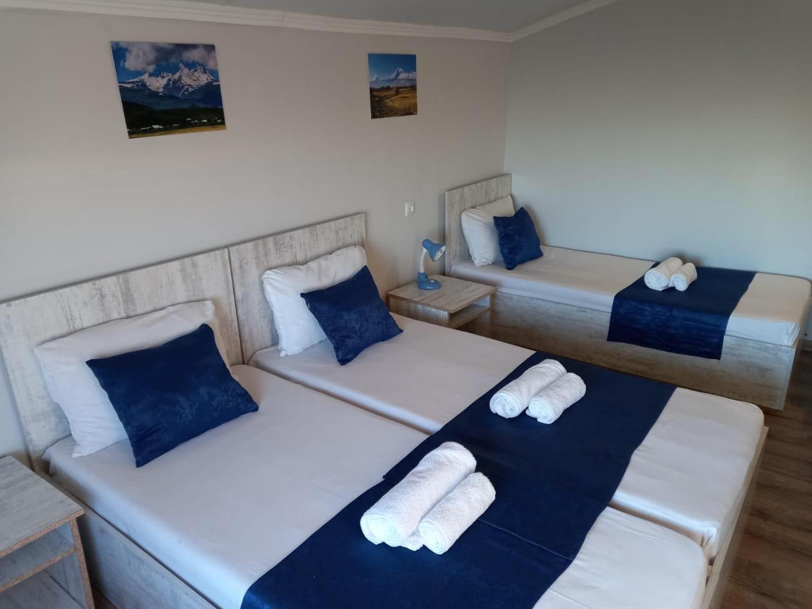 Deluxe Double or Twin Room with Mountain View photo 3