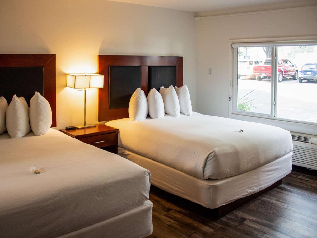 Queen Room with Two Queen Beds - Non Smoking photo 1