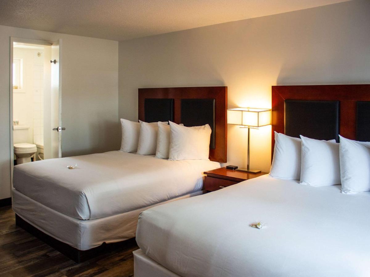 Queen Room with Two Queen Beds - Non Smoking photo 2