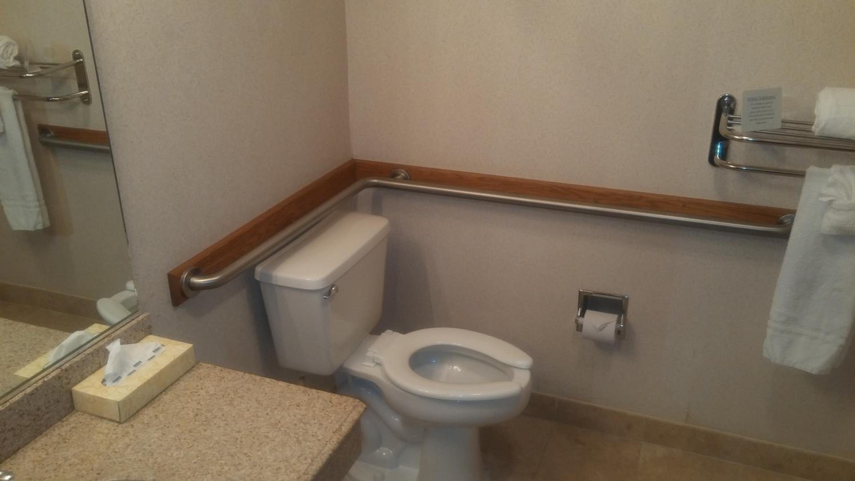 Premium King Room - Photo 3