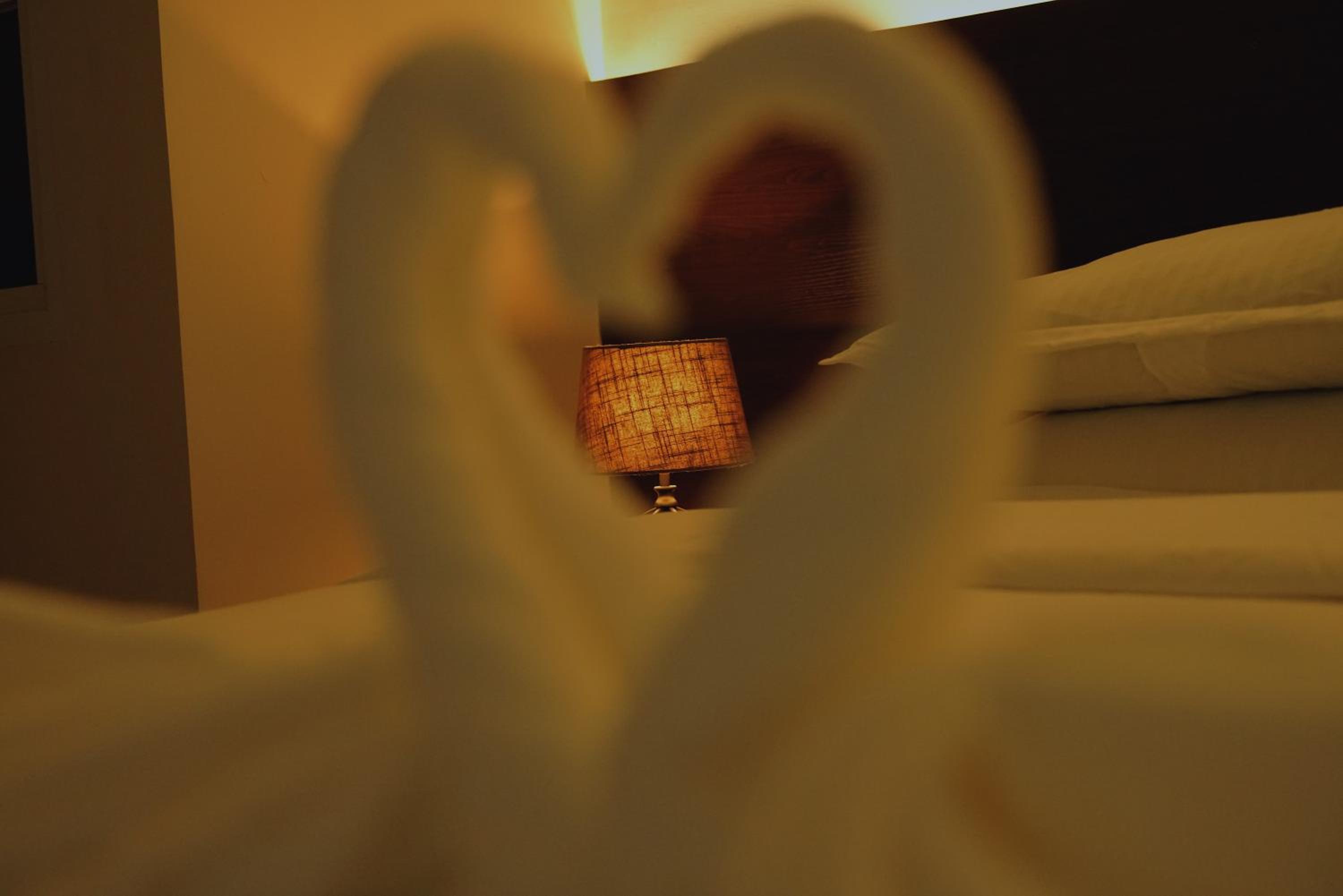 Deluxe Double or Twin Room - Photo 3
