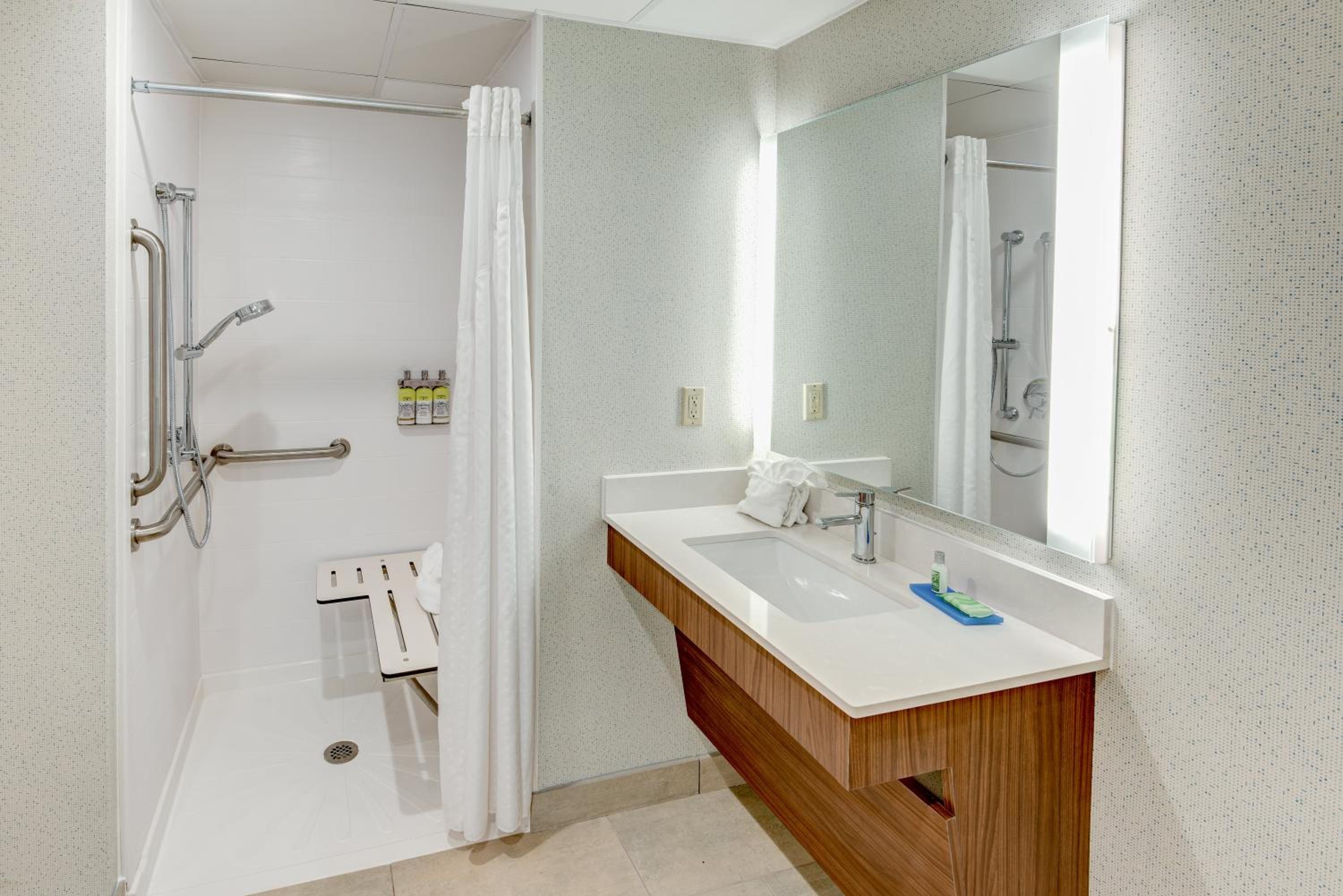 Suite with Mobility Accessible Roll in Shower/Non-Smoking - Photo 3