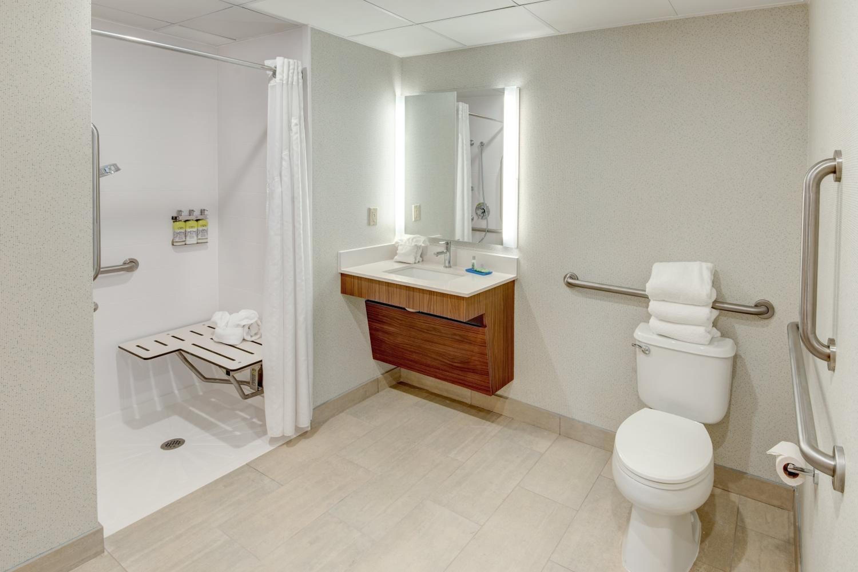 Suite with Mobility Accessible Roll in Shower/Non-Smoking - Photo 6