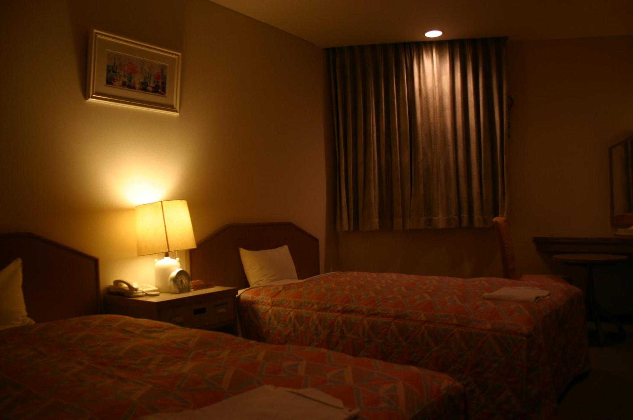 Deluxe Twin Room photo 1