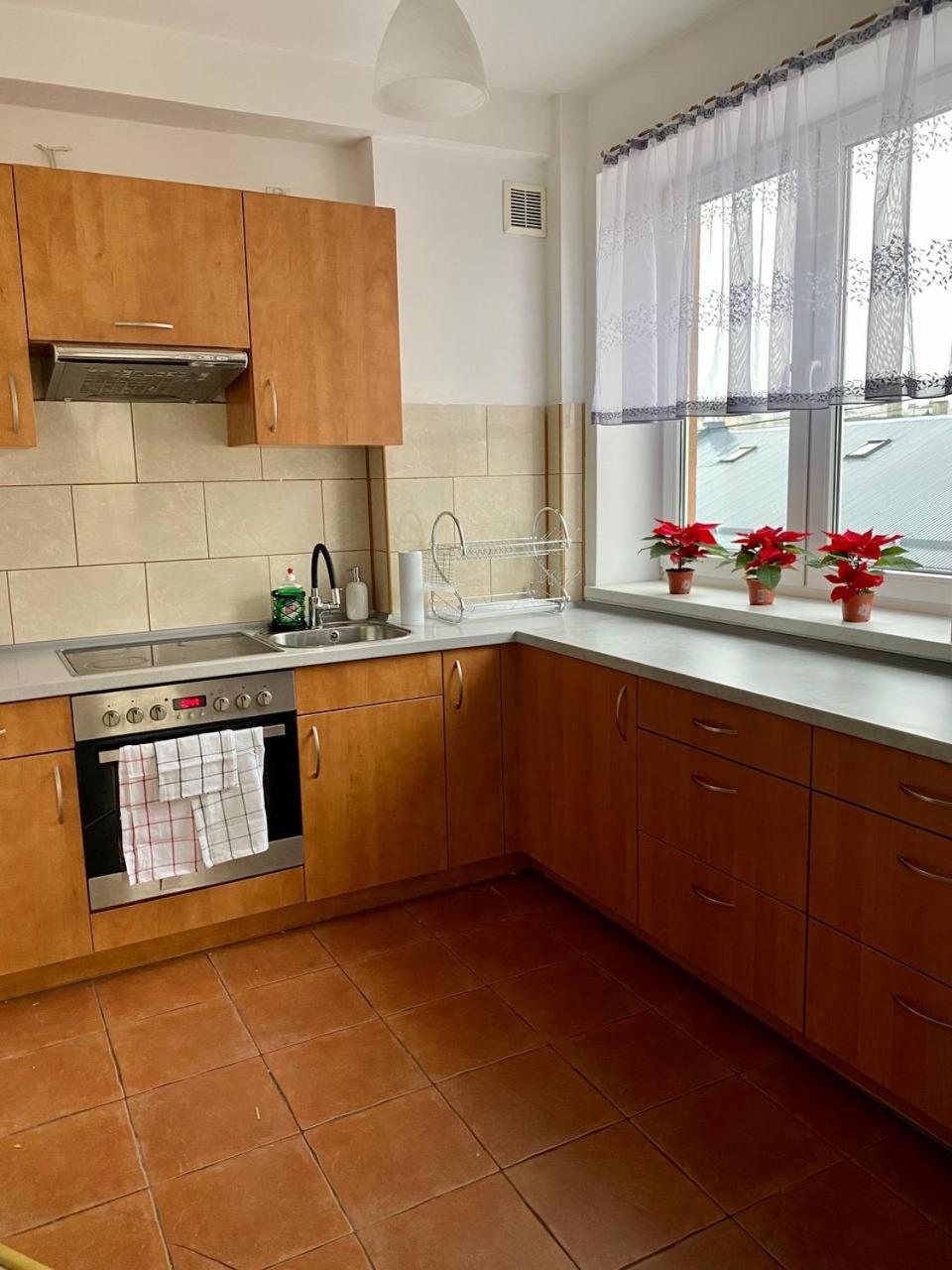 One-Bedroom Apartment - Photo 18
