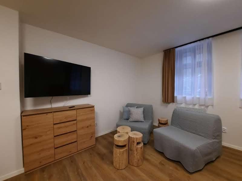 Studio Apartment - Photo 1