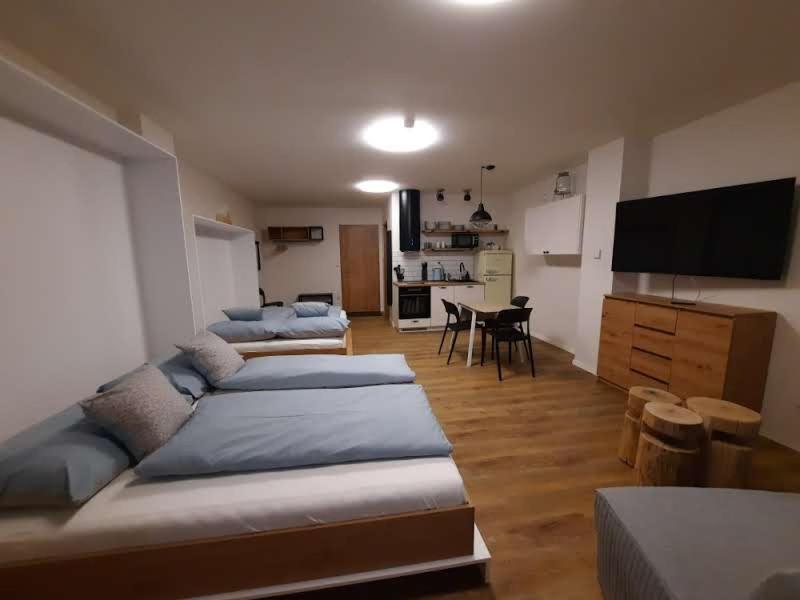Studio Apartment - Photo 8