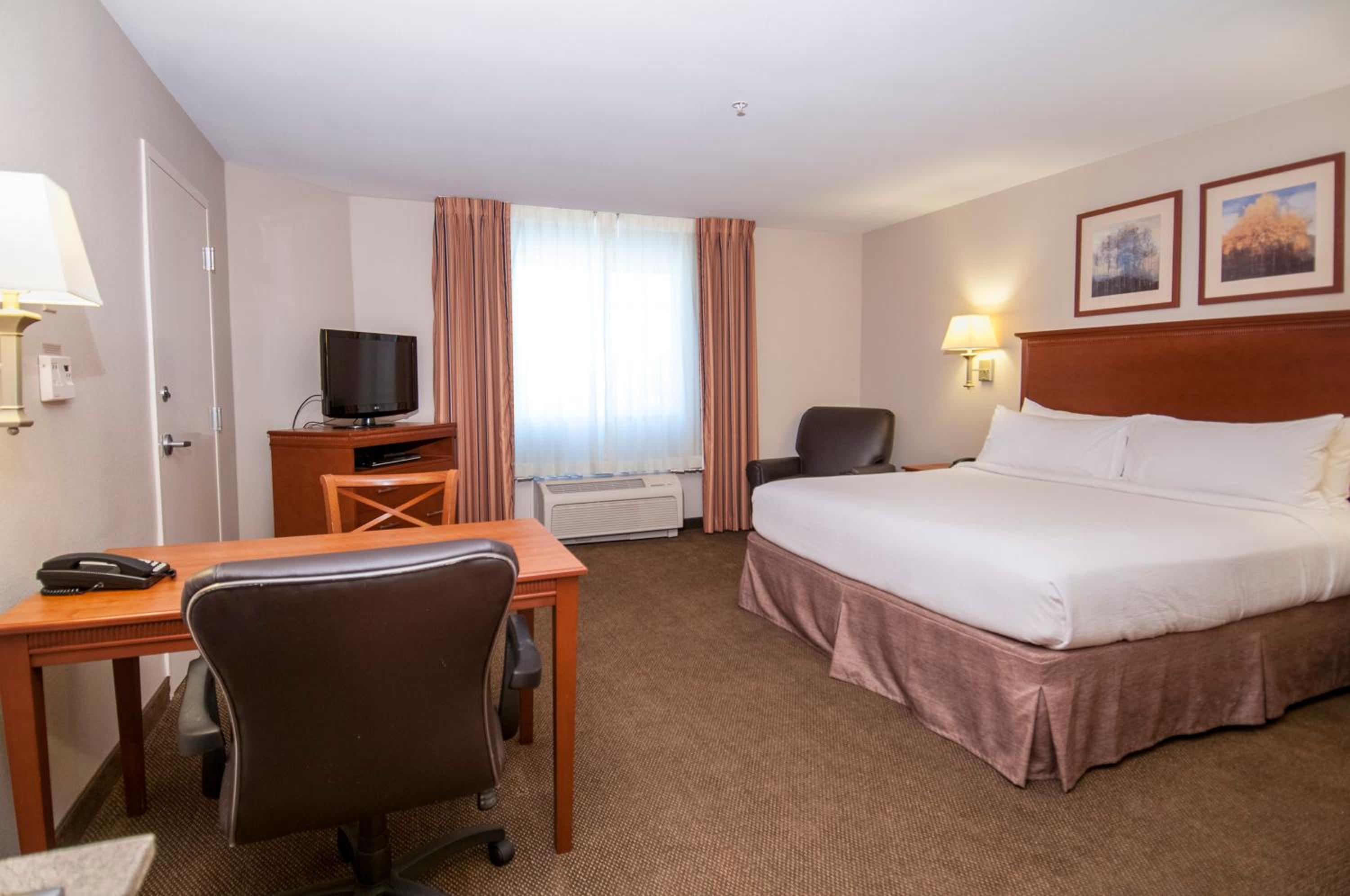 King Studio Suite - Photo 1