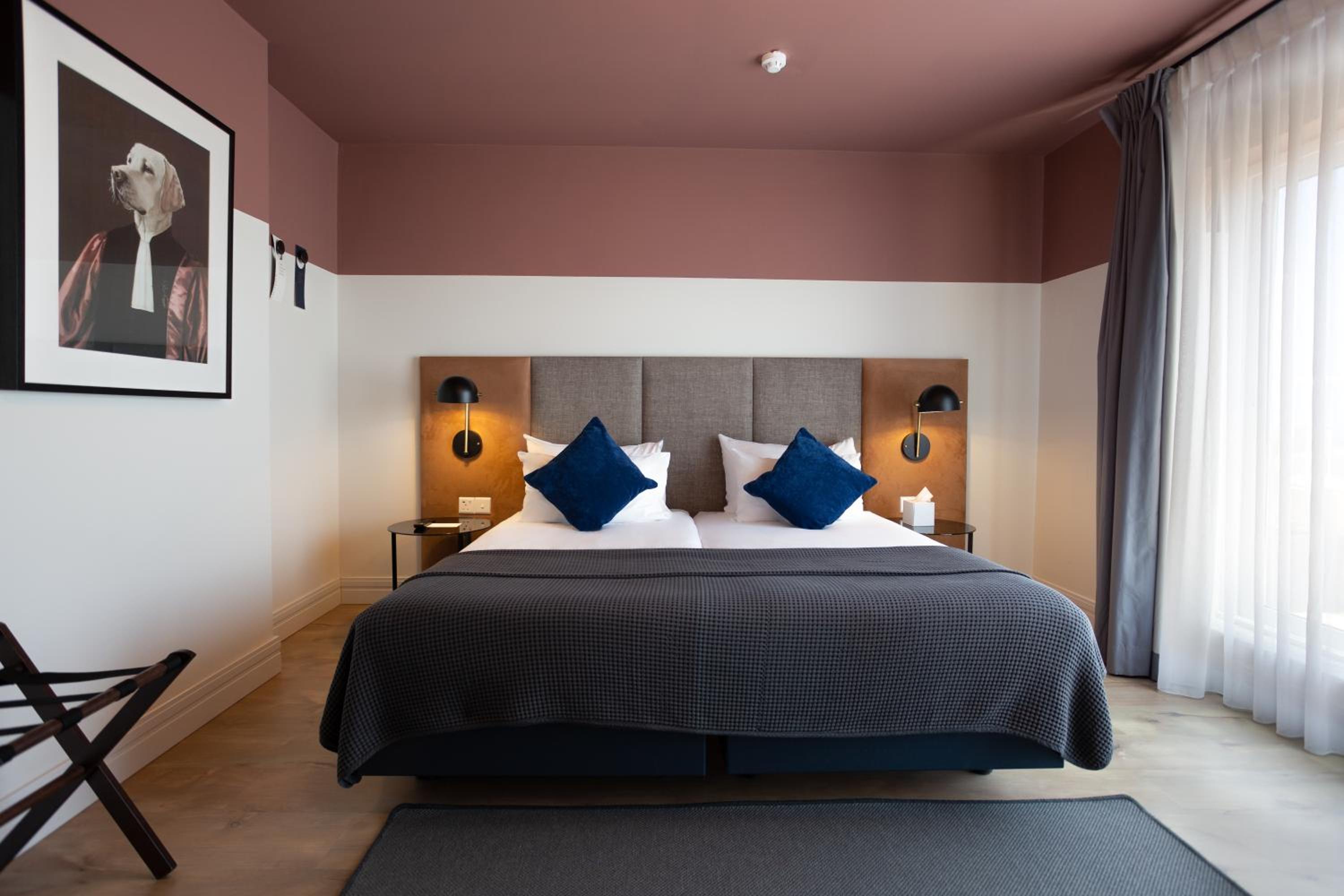 Deluxe Twin Room with Roof top Terrace