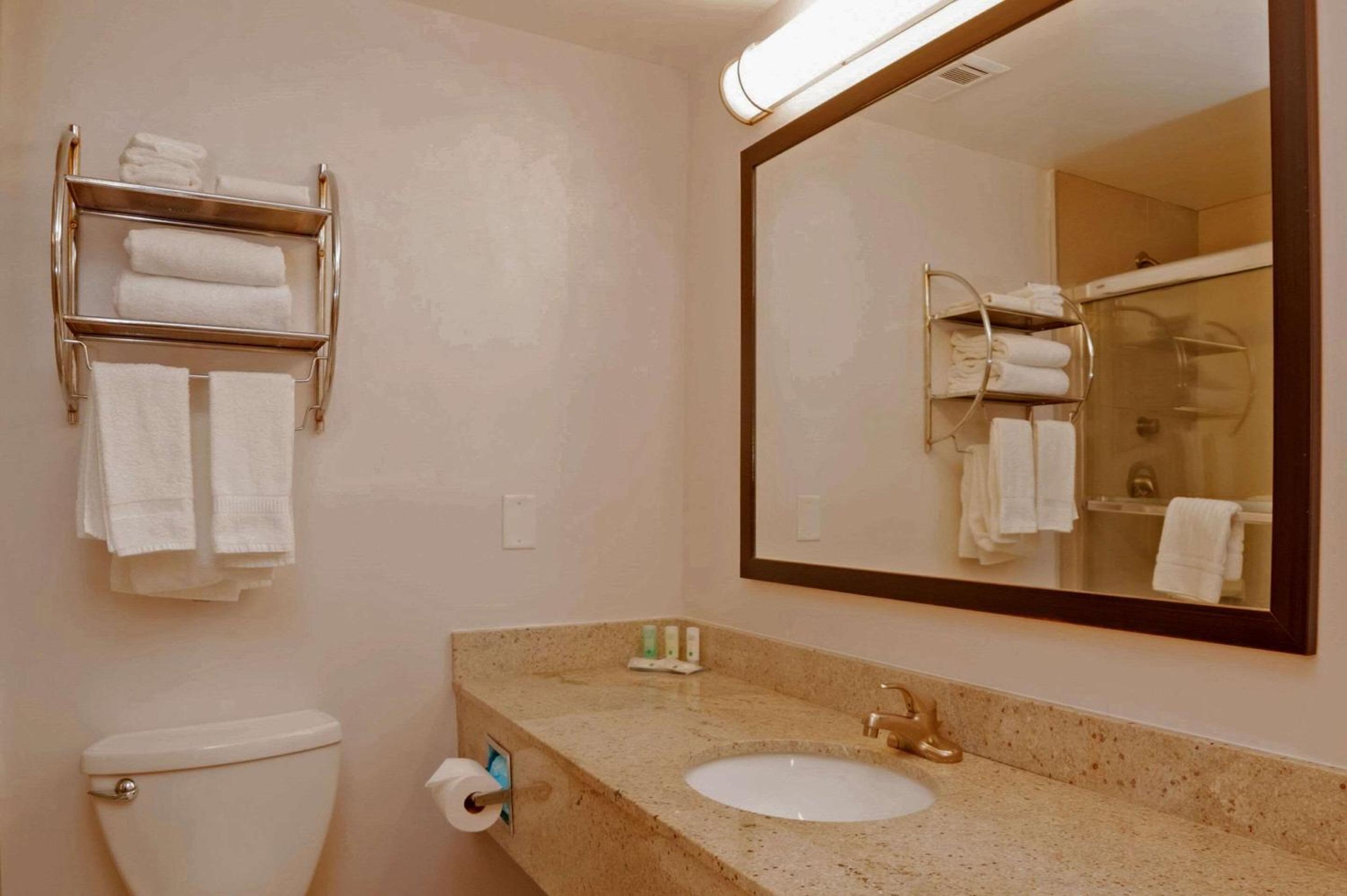 Business King Room - Non-Smoking - Photo 6