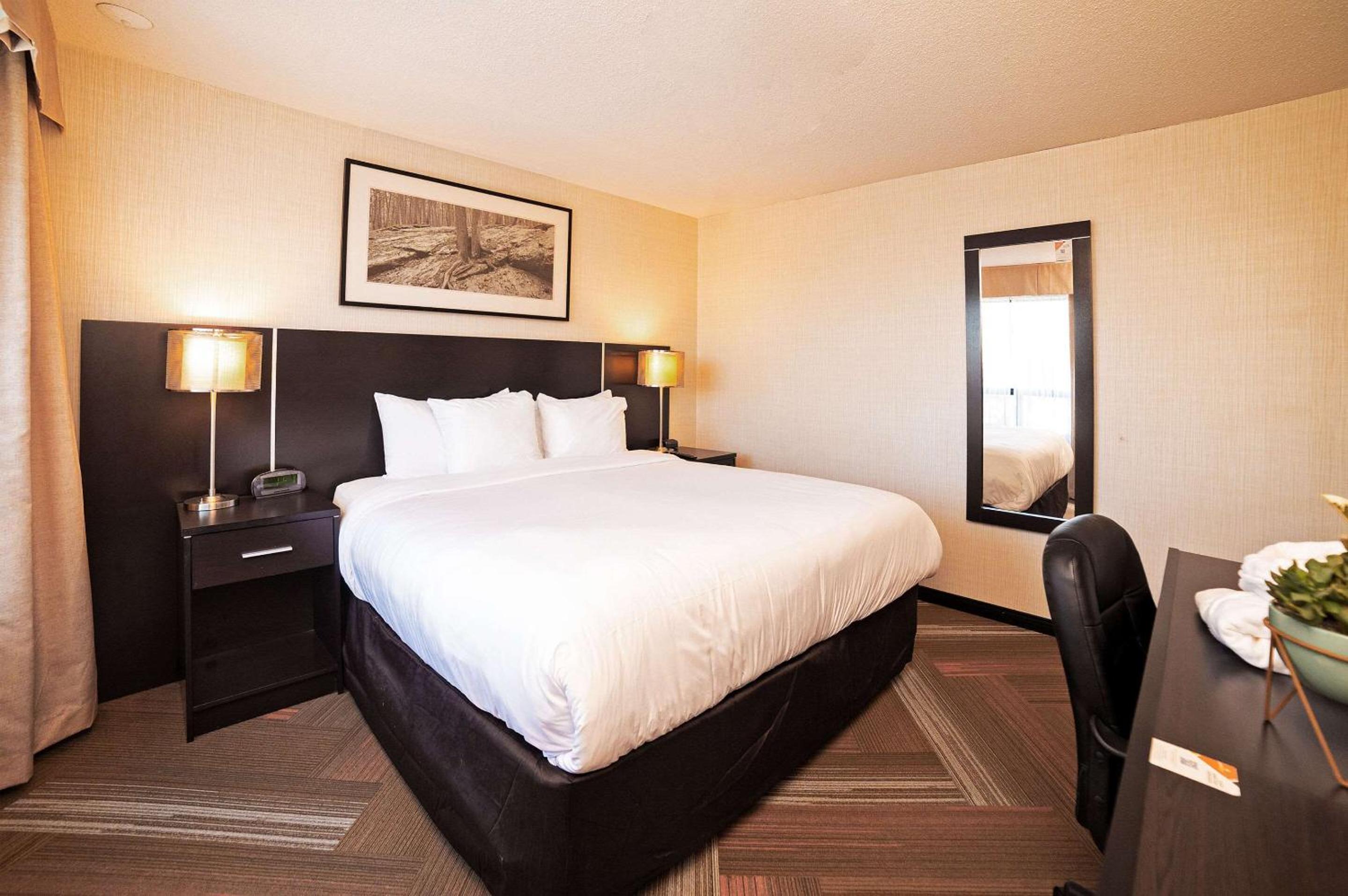 Standard King Room - Non-Smoking  - Photo 1