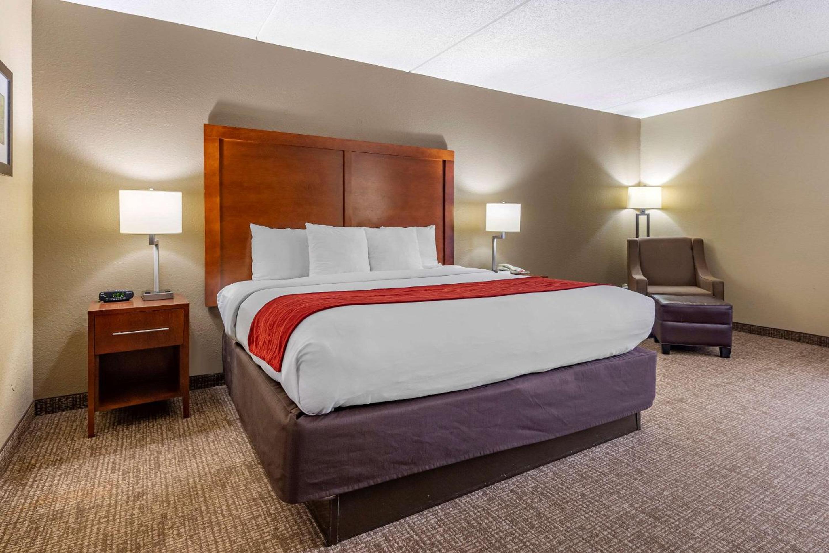 King Room - Non-Smoking - Photo 4