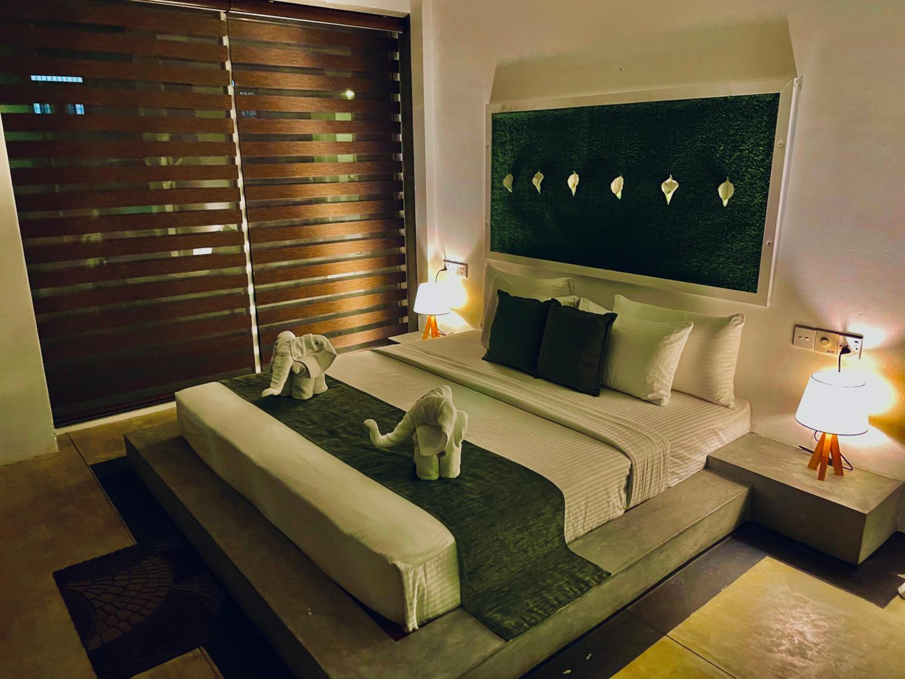 Superior Queen Room