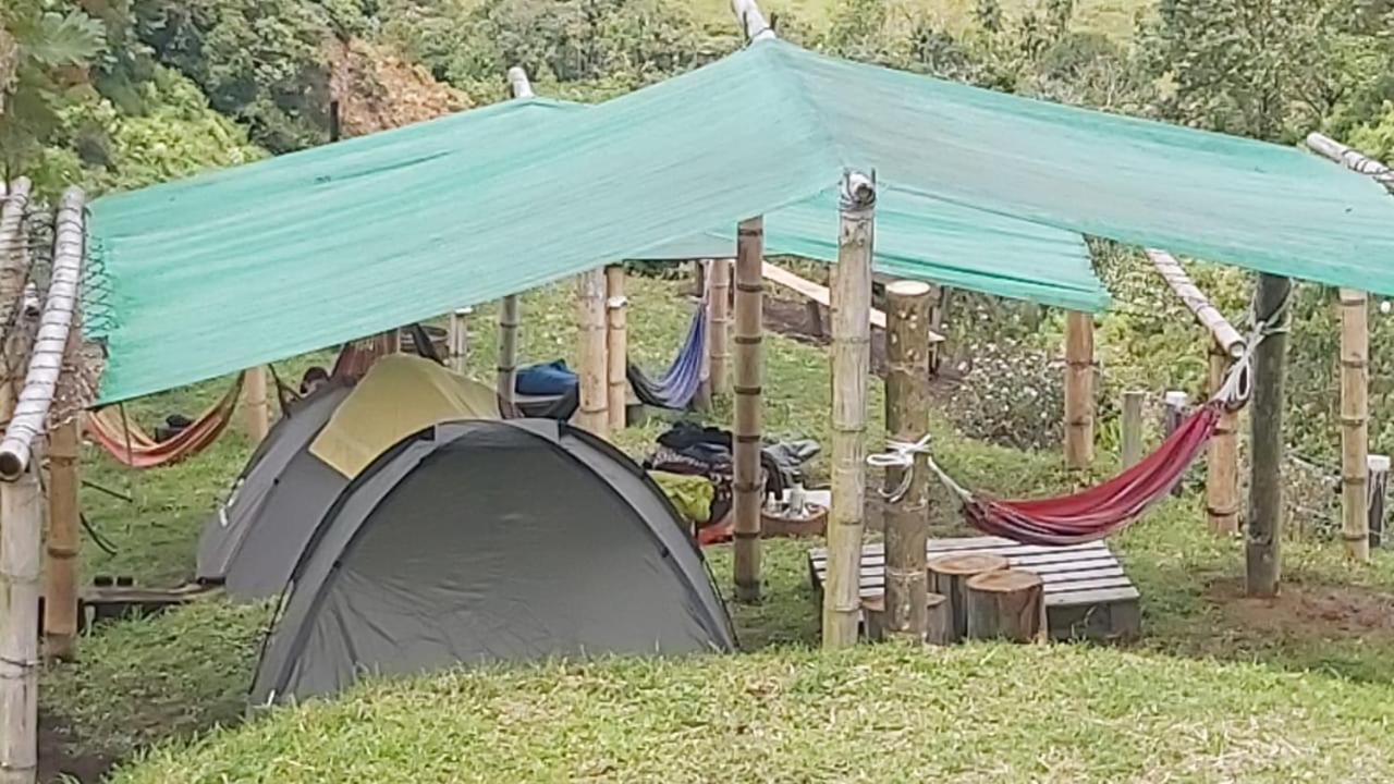 Tent (2 Adults) no room, photo 7