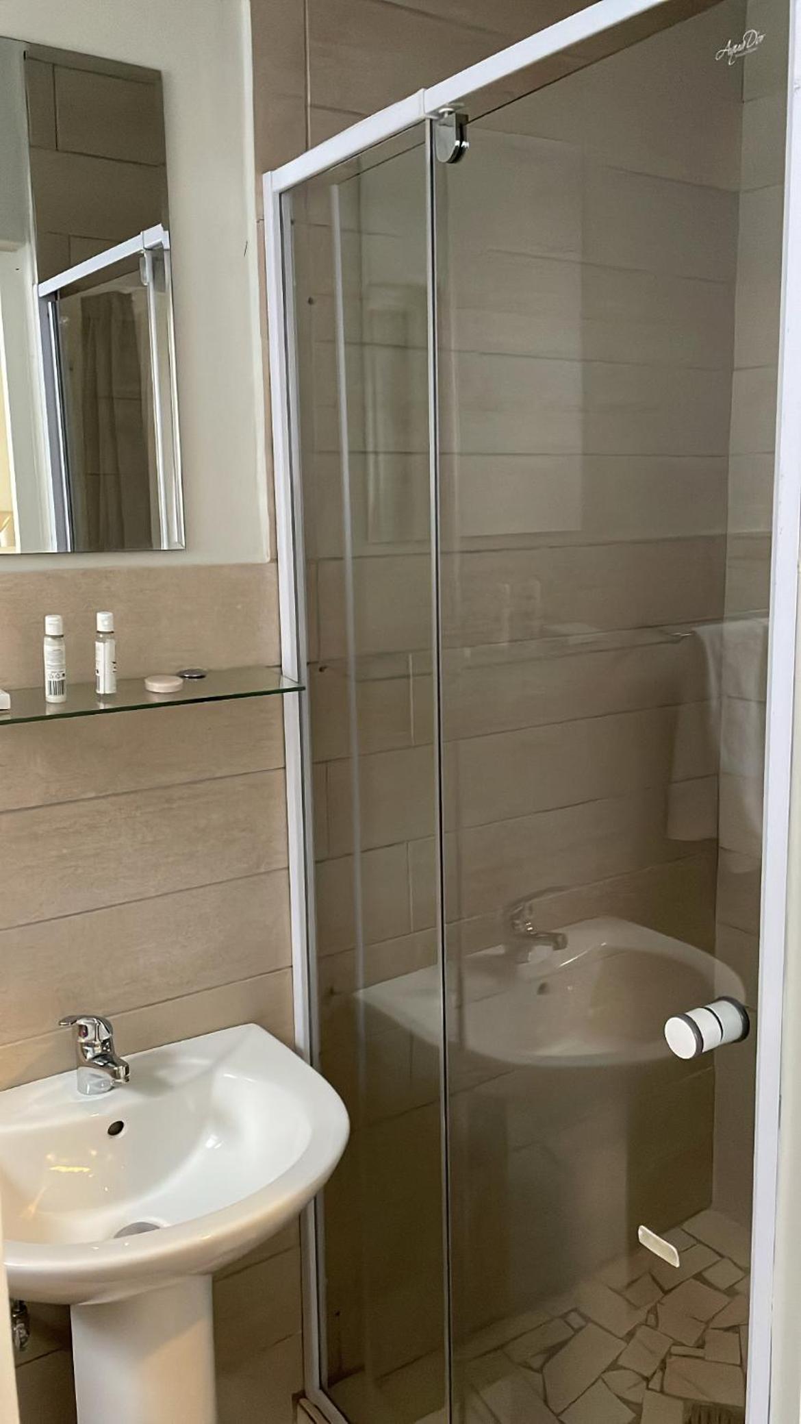 Deluxe Double or Twin Room photo 3