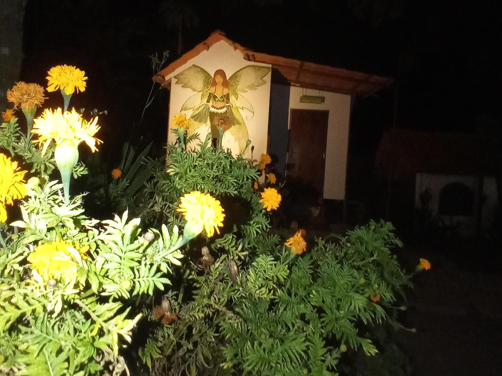 Bungalow - Photo 14
