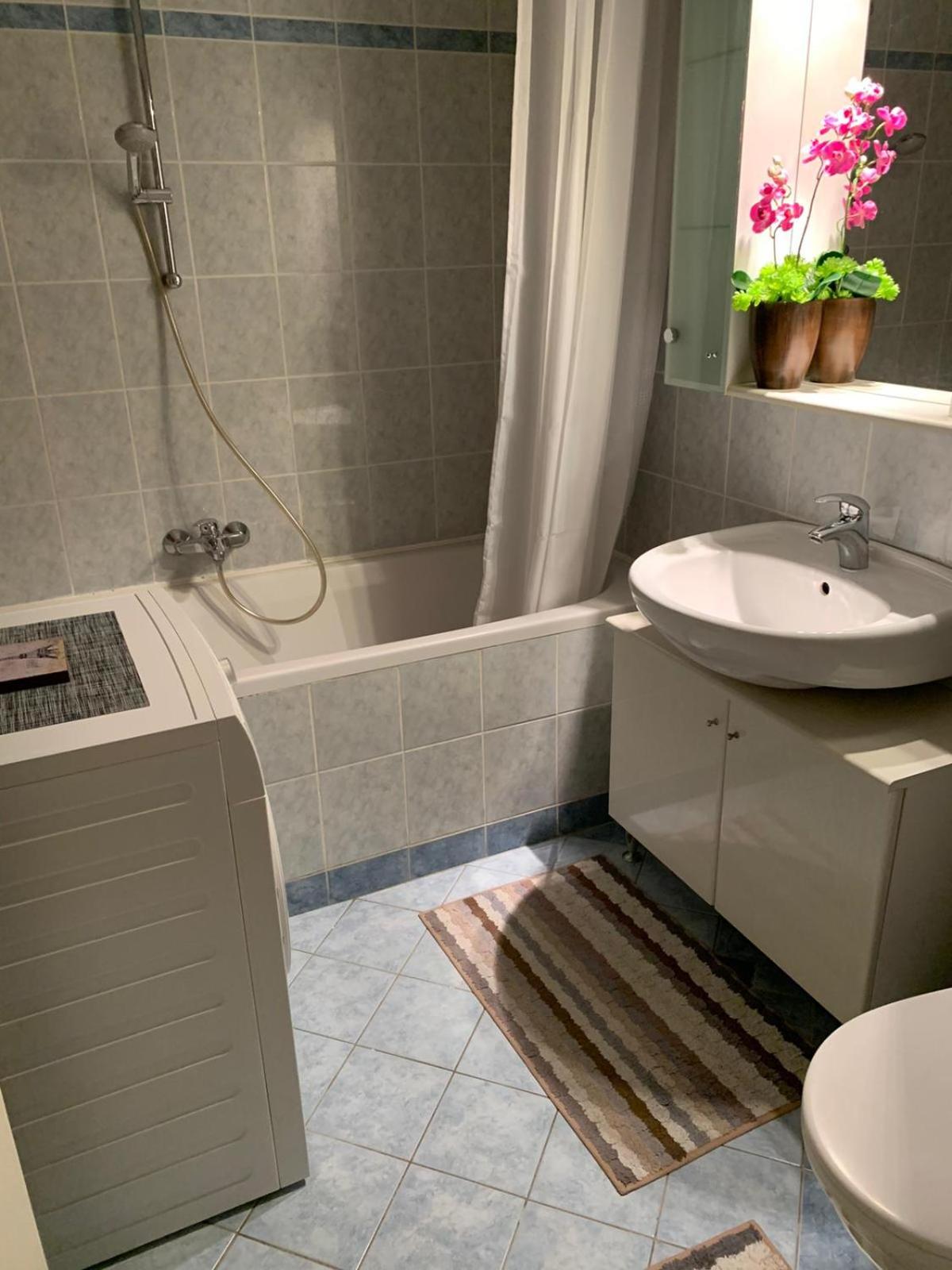Apartment - Photo 4