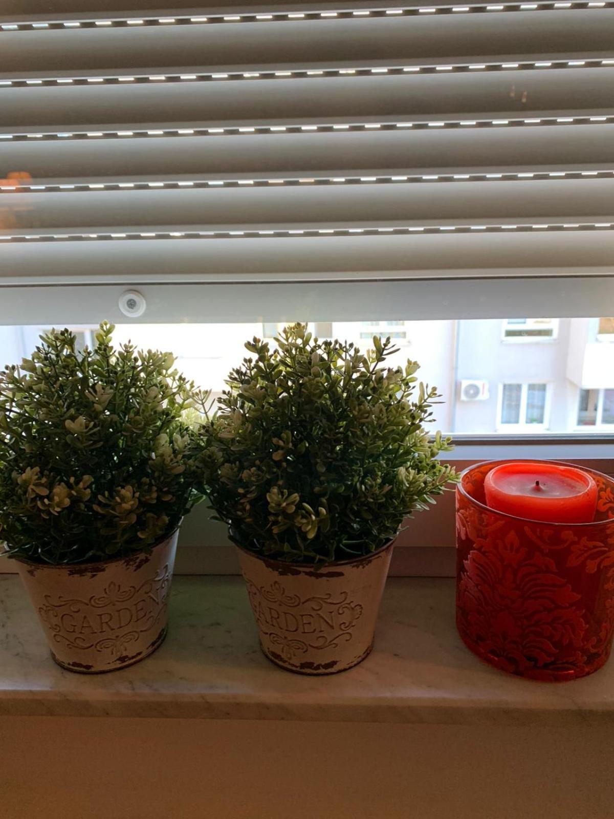 Apartment - Photo 6
