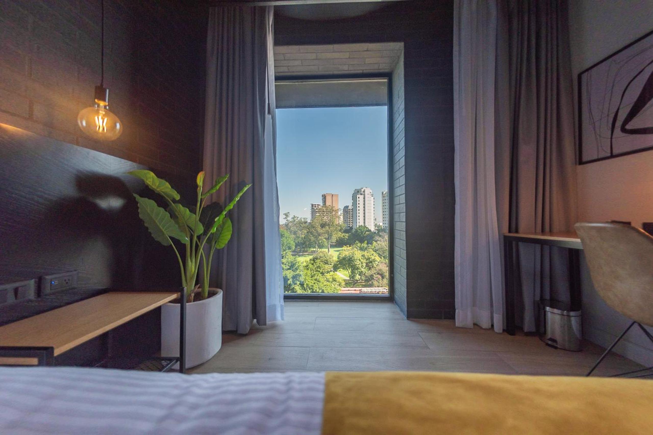 Deluxe King Room - Photo 16