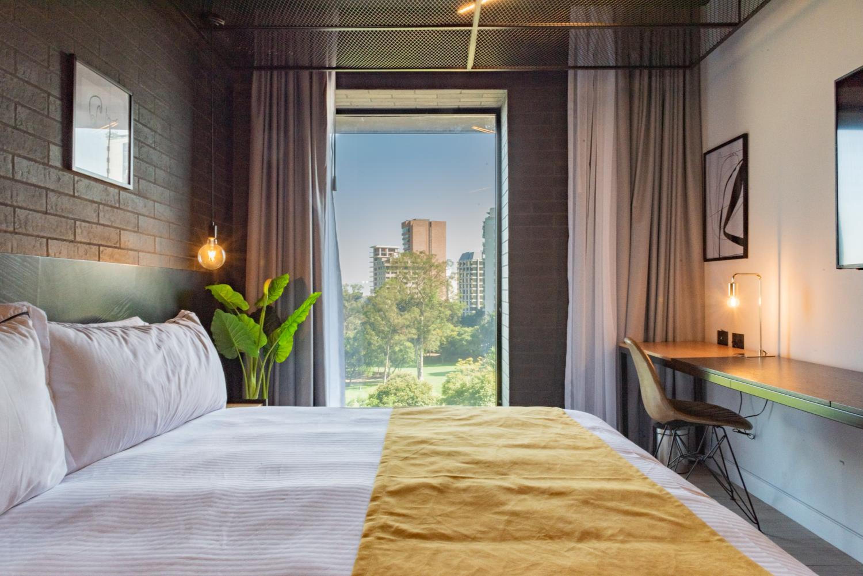 Deluxe King Room - Photo 2
