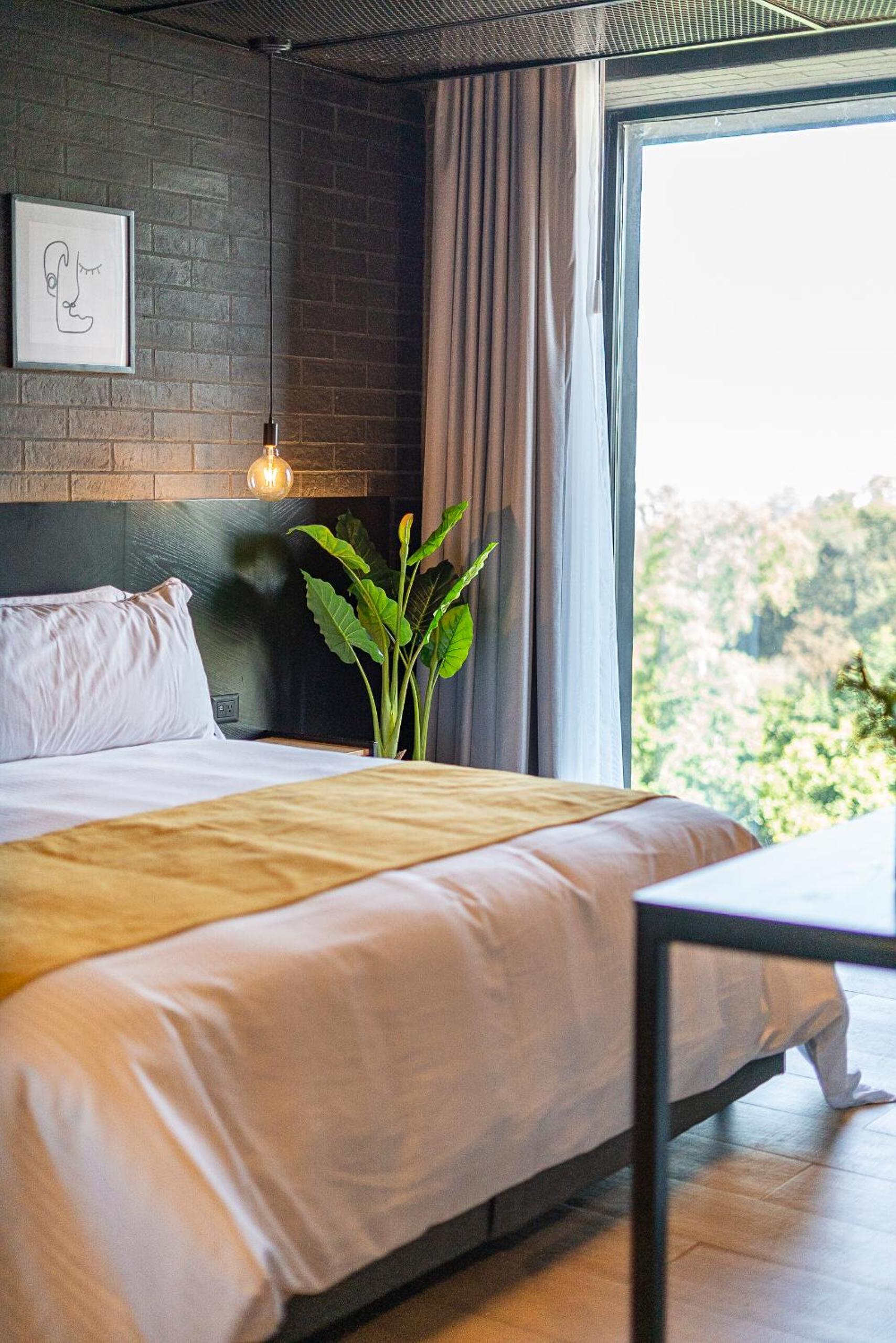Deluxe King Room - Photo 10
